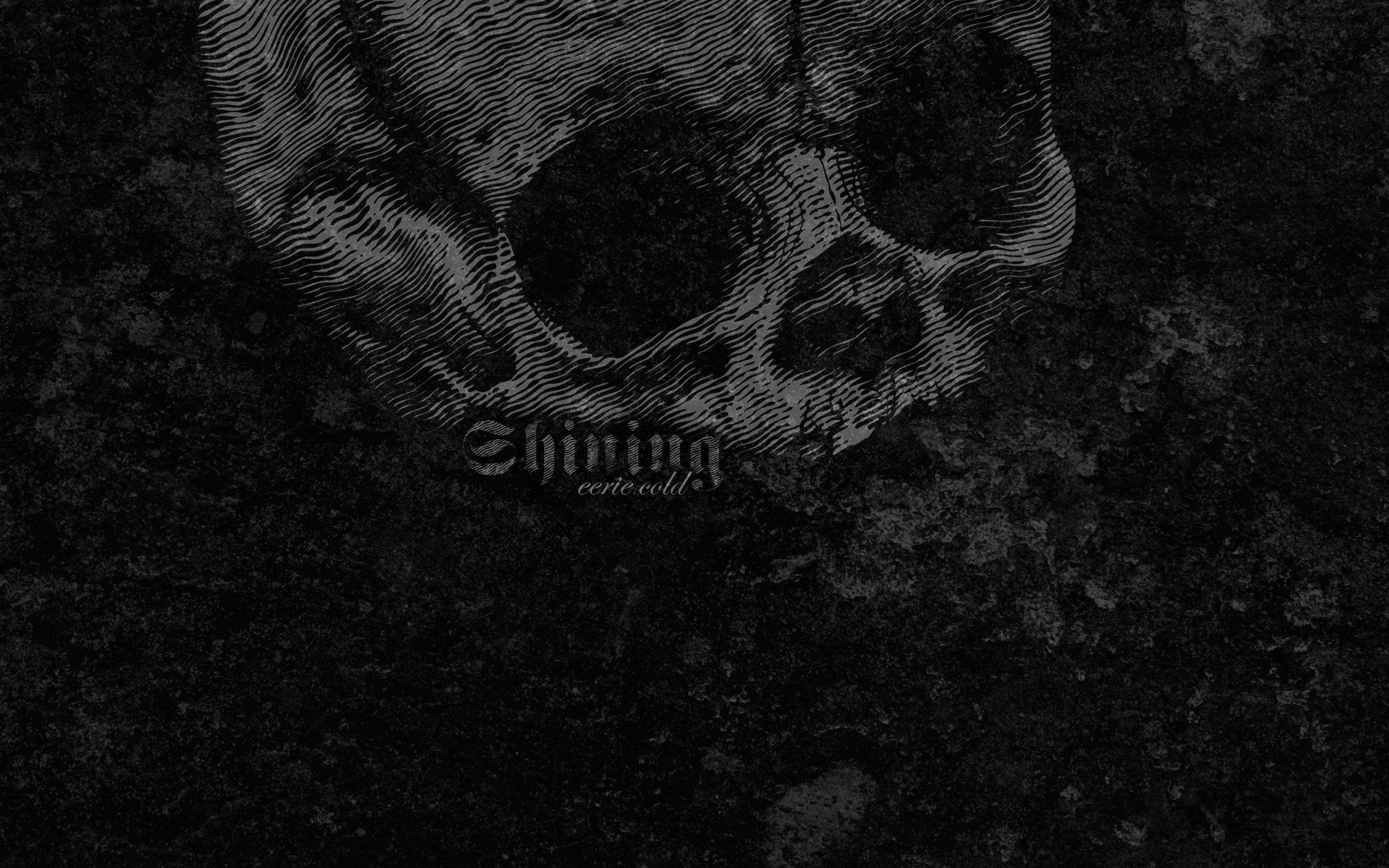 1920x1200 skulls, Black, Metal, Cold, Shining, Textures Wallpaper HD / Desktop and Mobile Background