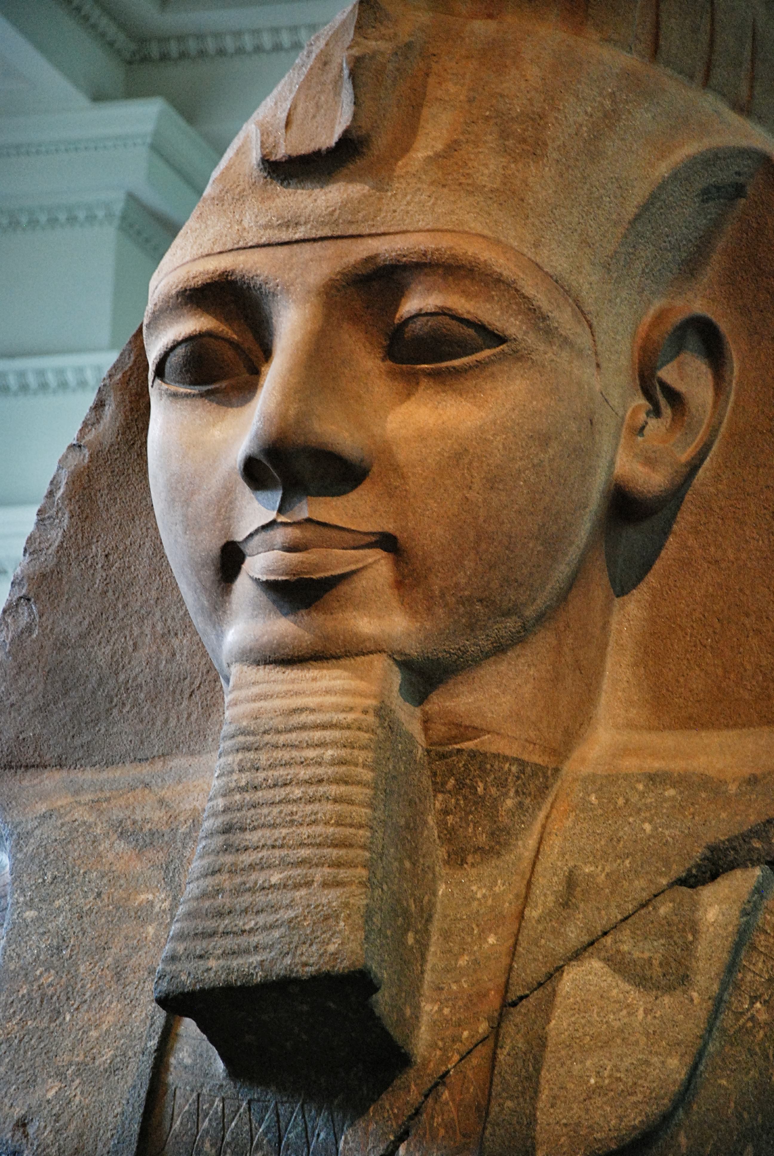 2592x3872 Ramesses II History Encyclopedia