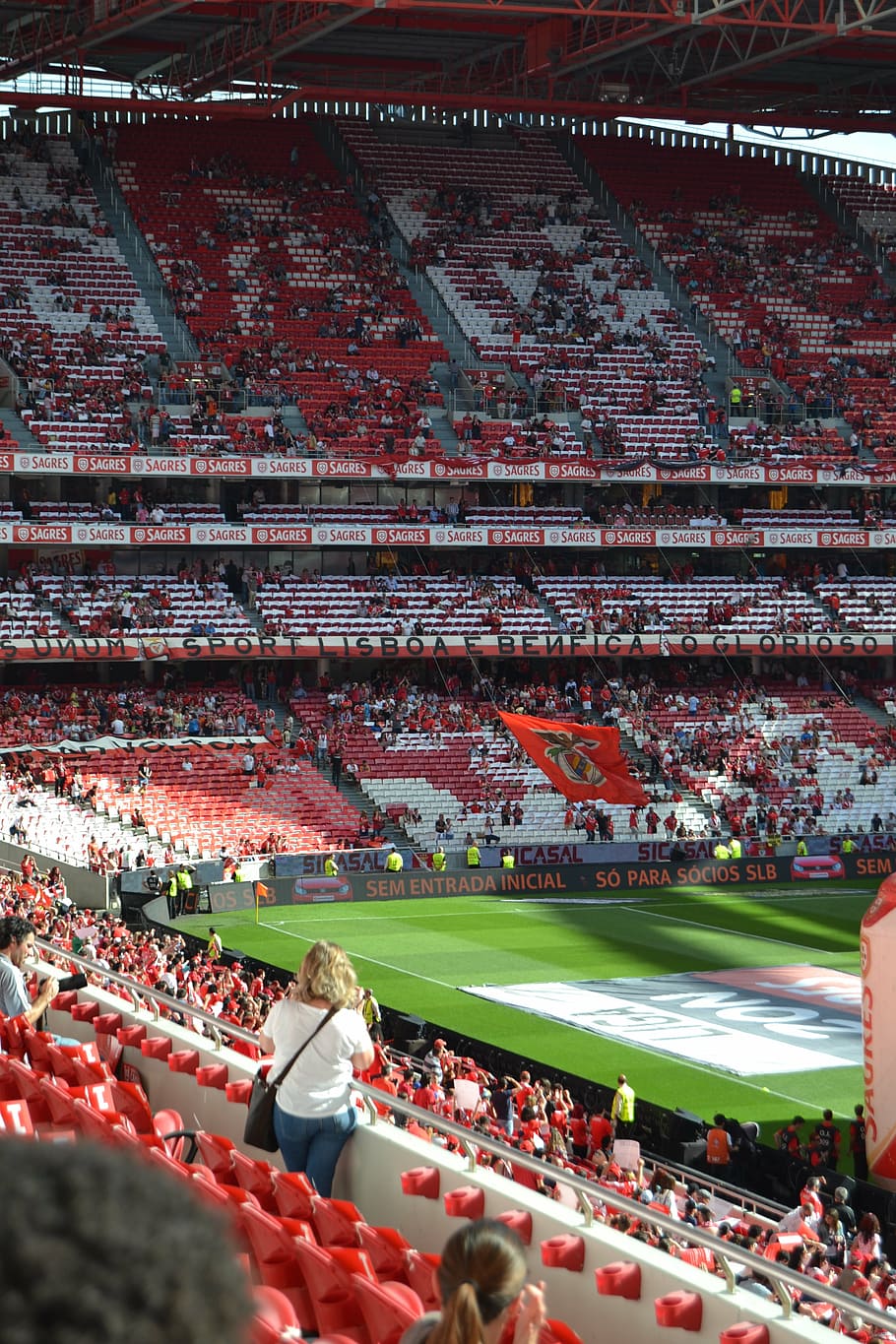 910x1365 HD wallpaper: stadium of light, portugal, lisbon, slb, group of people, sport