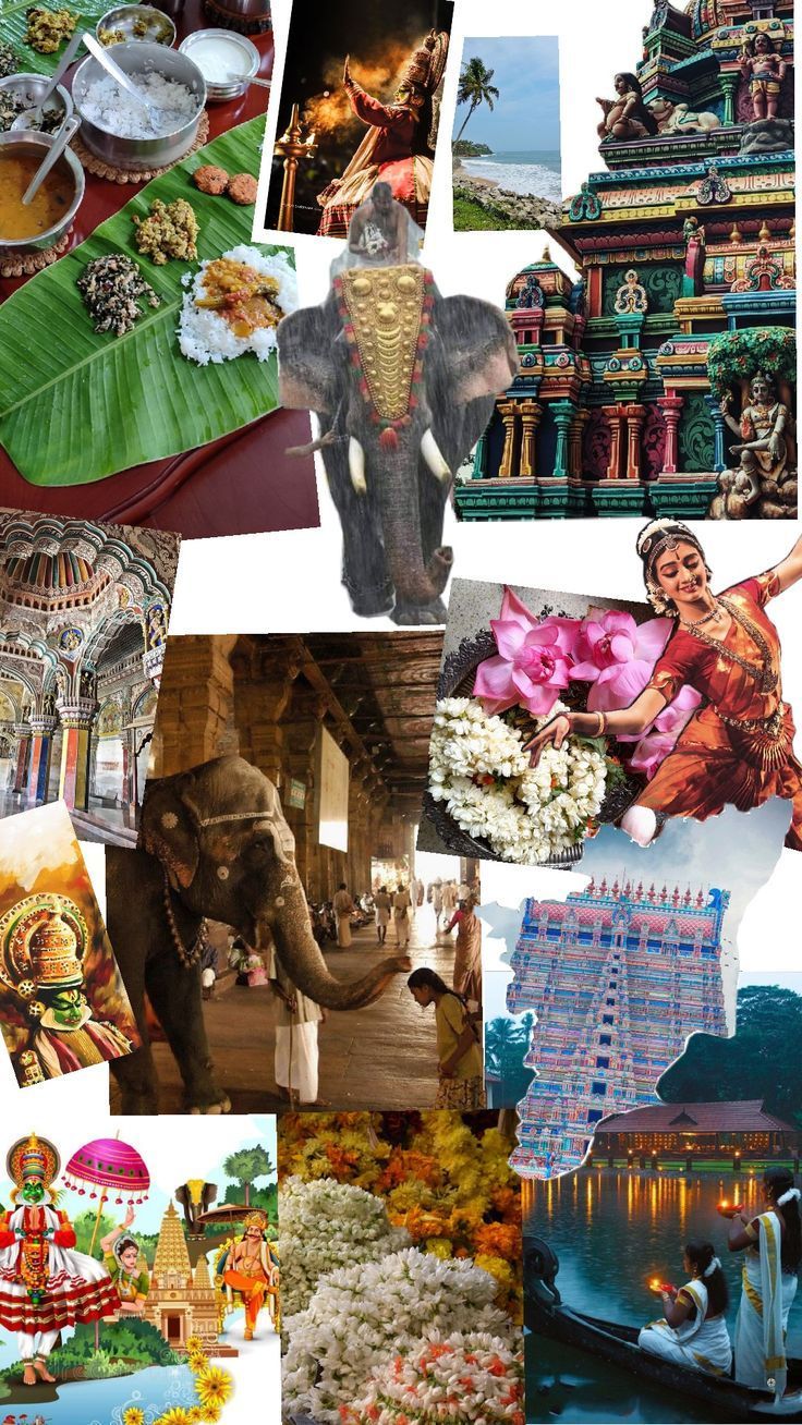 736x1308 Tamil Nadu South India Aesthetics. Tamil Art Culture, Air Force Wallpaper, South Indian Culture