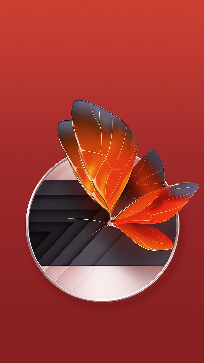 800x1422 HD nubia wallpaper