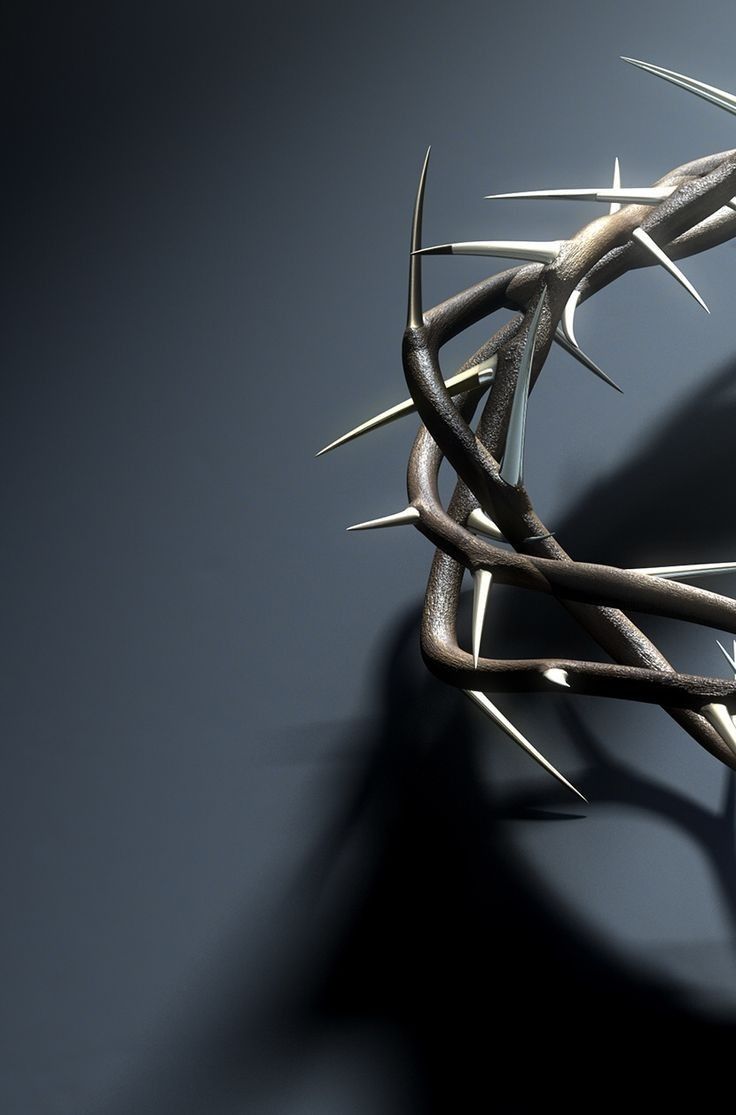 736x1115 Crown of thorns. Jesus cross wallpaper, Christian wallpaper, Biblical