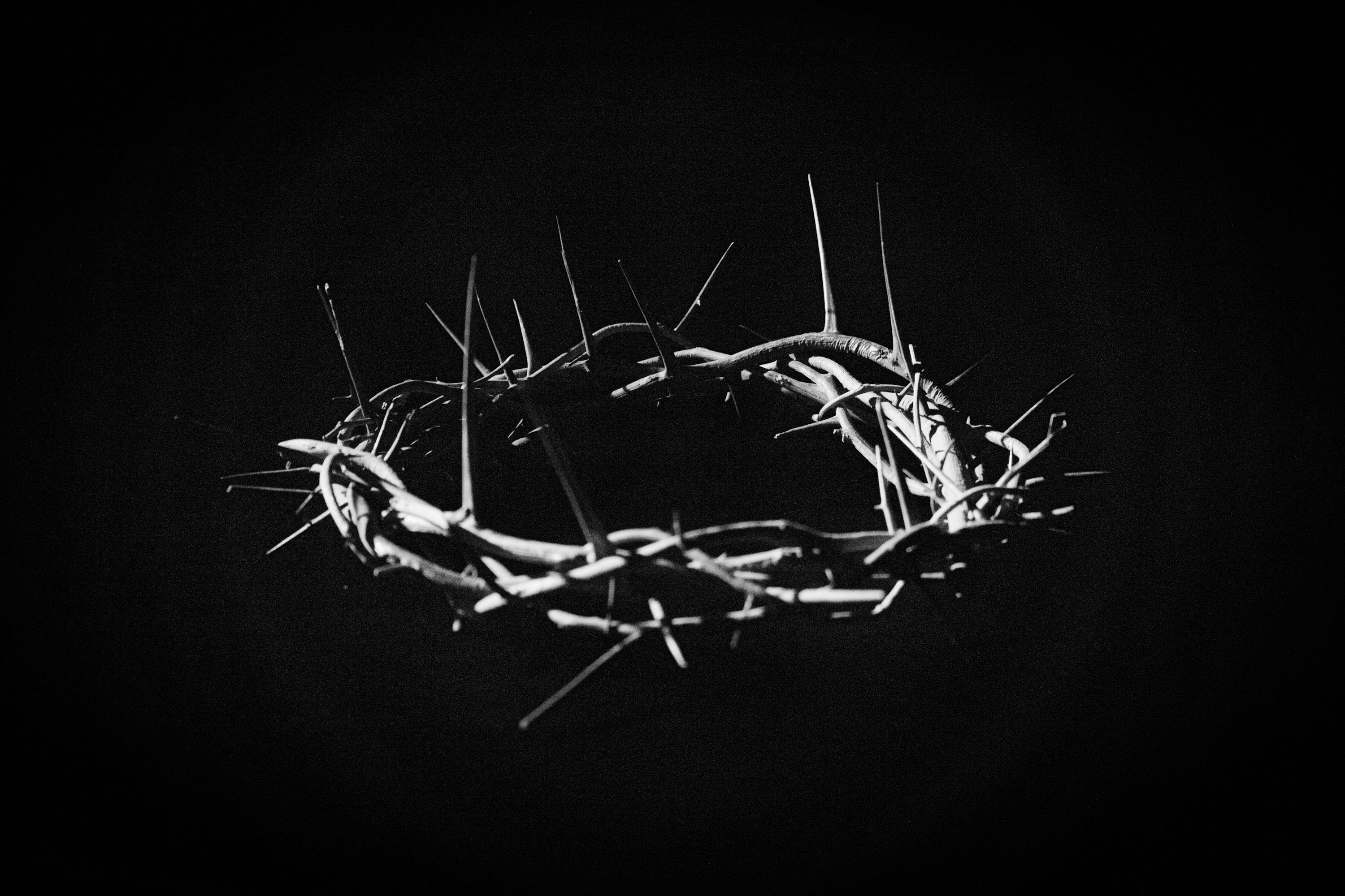 3000x2000 Crown Of Thorns Picture. Download Free Image