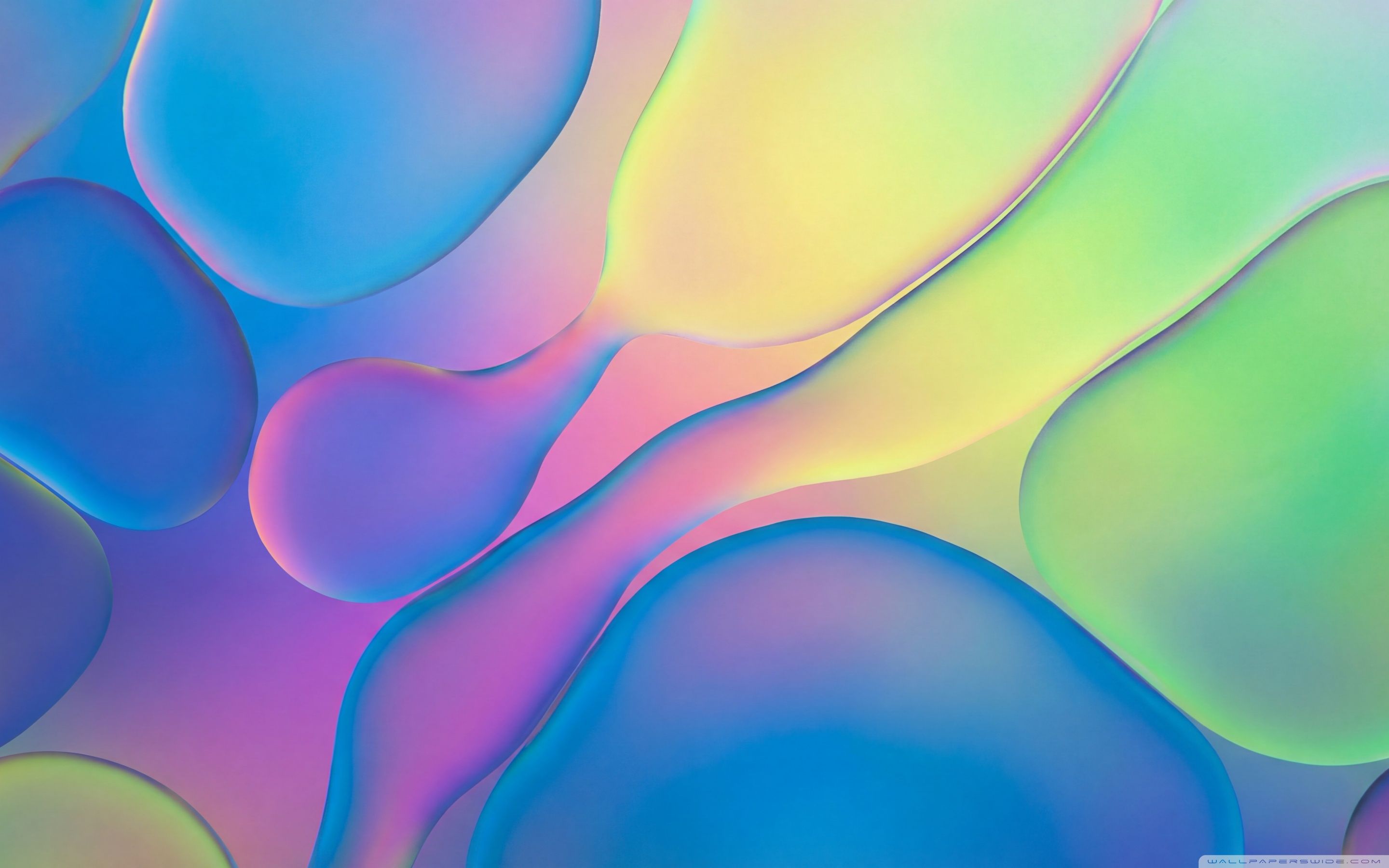 2880x1800 Water Drops on Opaque Glass in Colorful Light 4K UHD Wallpaper for UltraHD Desktop and TV : Widescreen and UltraWide Display : Dual Monitor