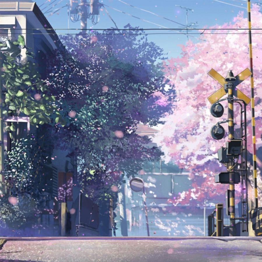 Centimeters Per Second Wallpapers - Top Free Centimeters Per Second ...