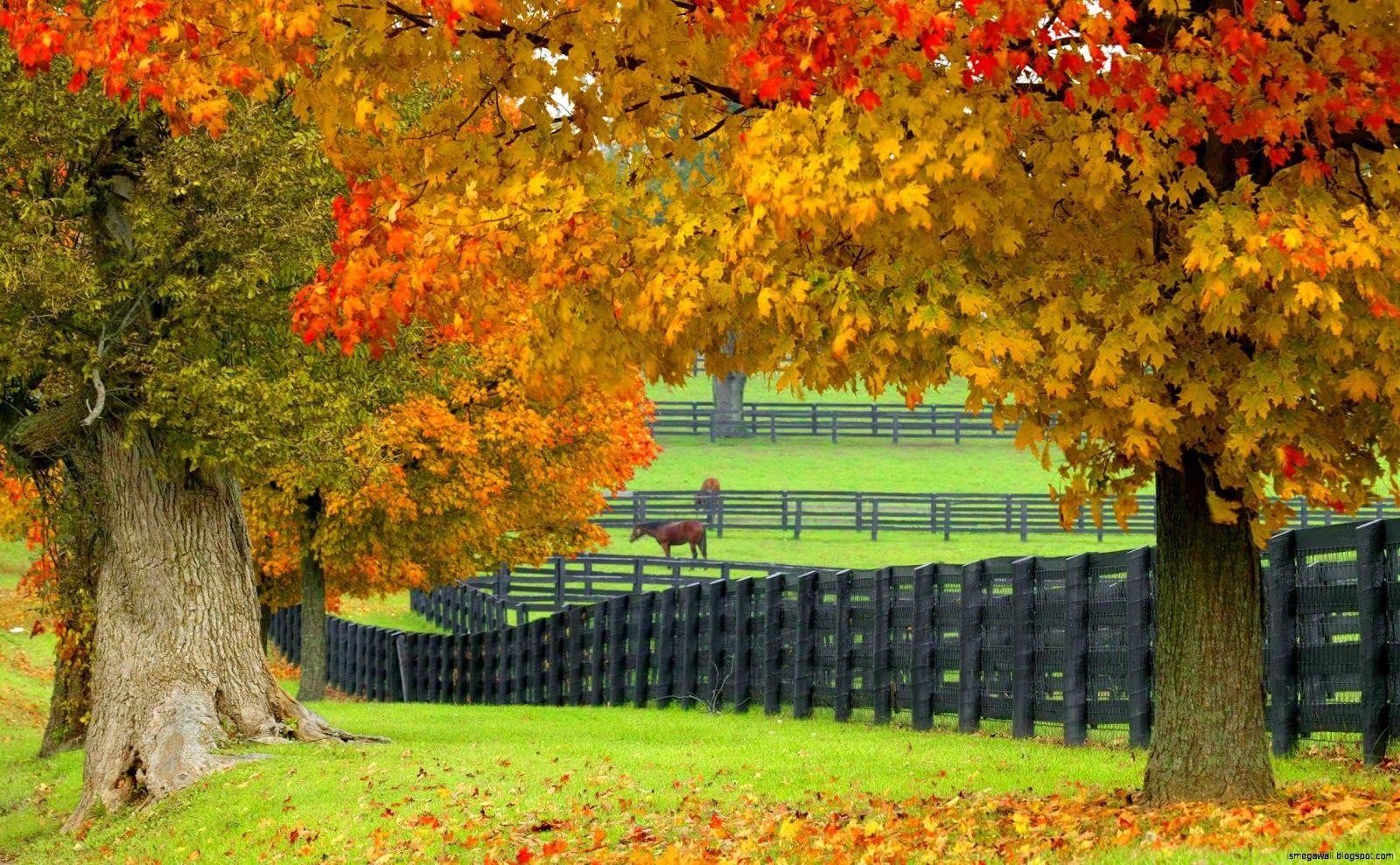 Autumn Farm Wallpapers - Top Free Autumn Farm Backgrounds - WallpaperAccess