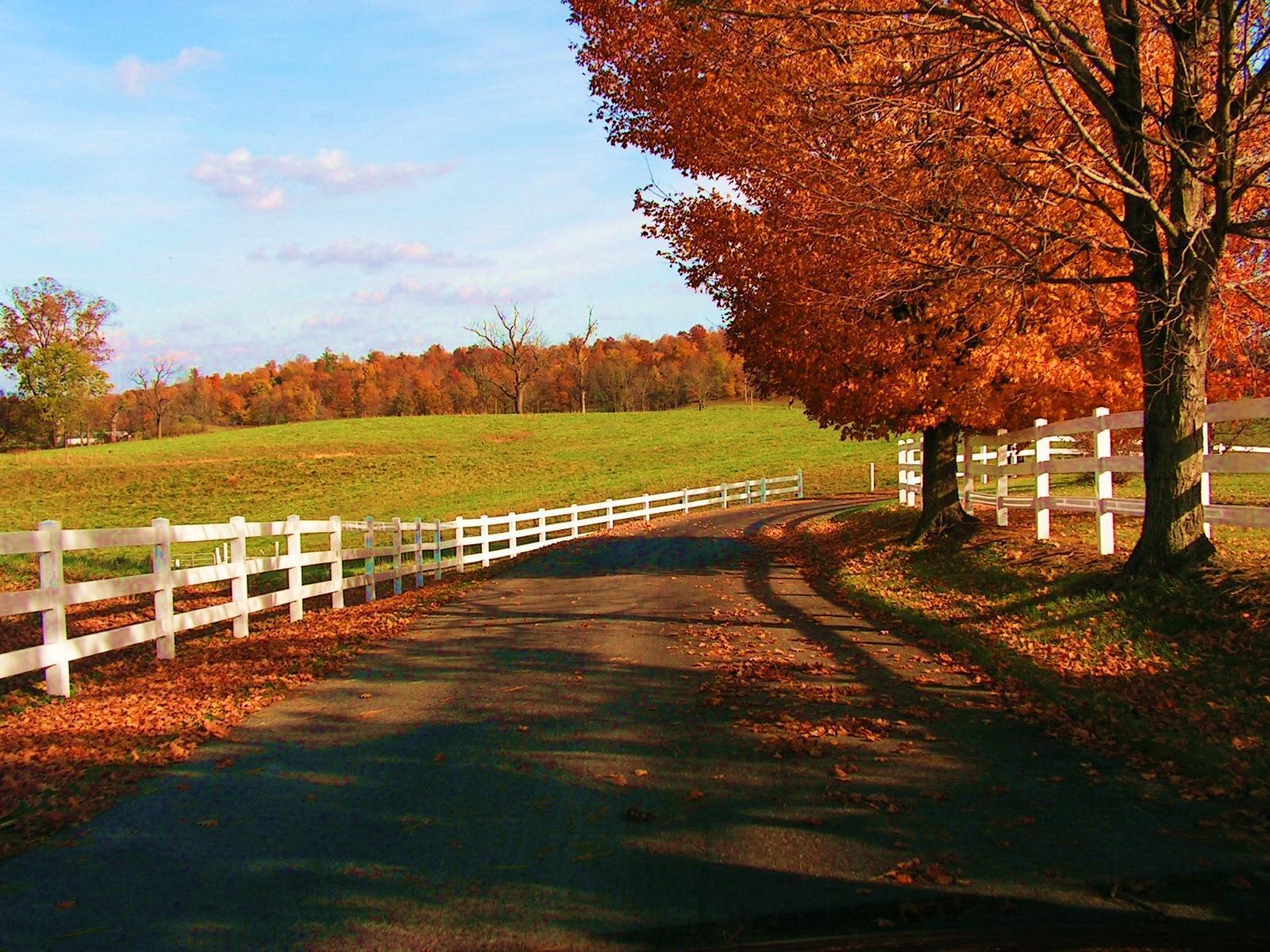 1600x1200 Autumn Wallpaper -