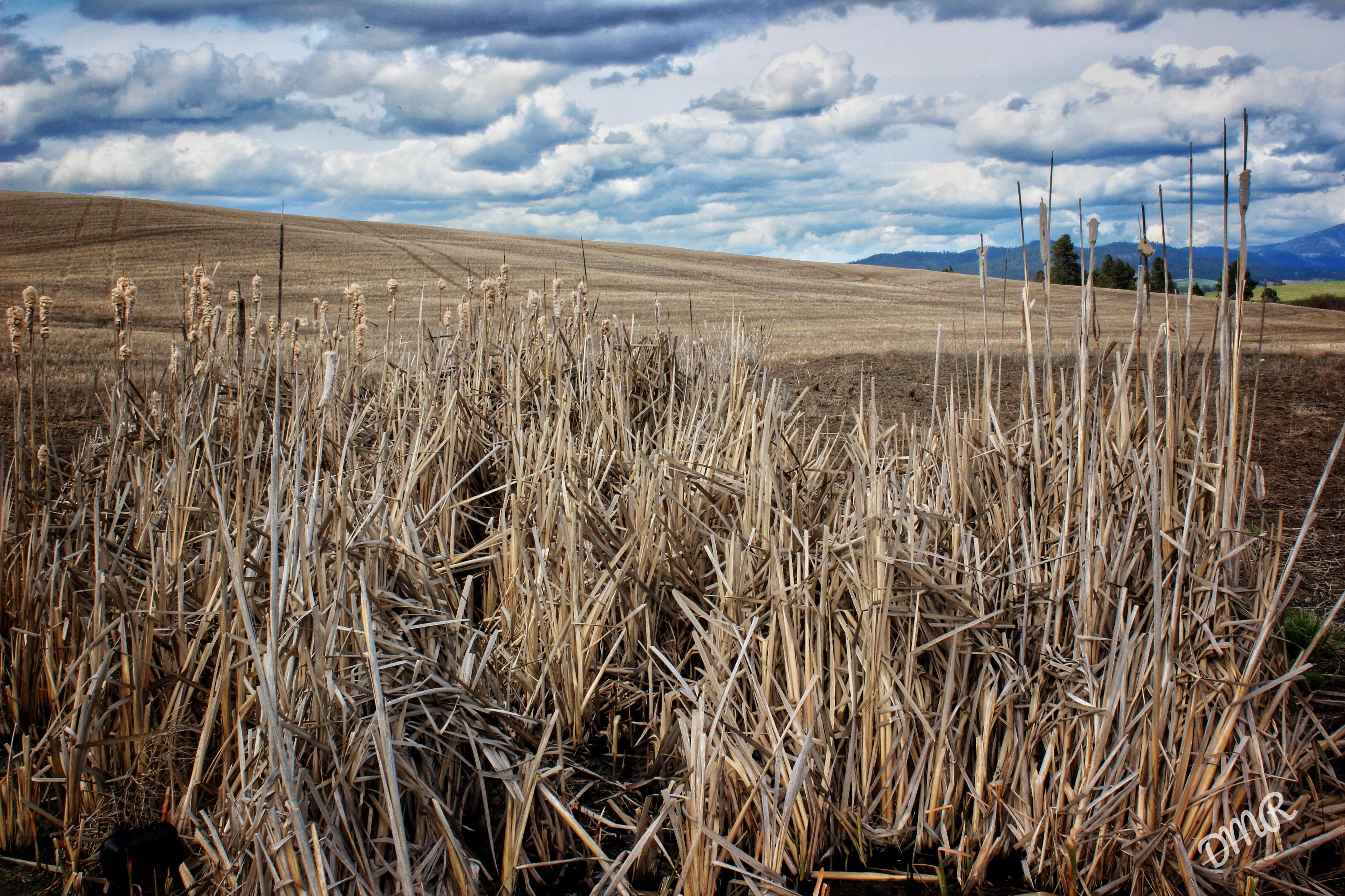 5184x3456 Farm 4K wallpaper for your desktop or mobile screen free and easy to download