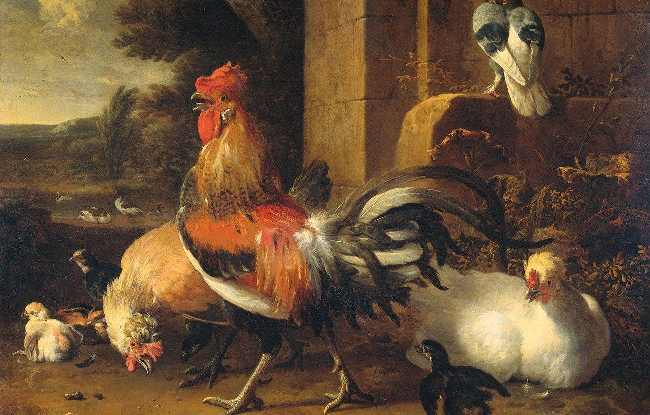 1332x850 Wallpaper animals, picture, cock, Melchior de Hondekuter, Barnyard image for desktop, section живопись