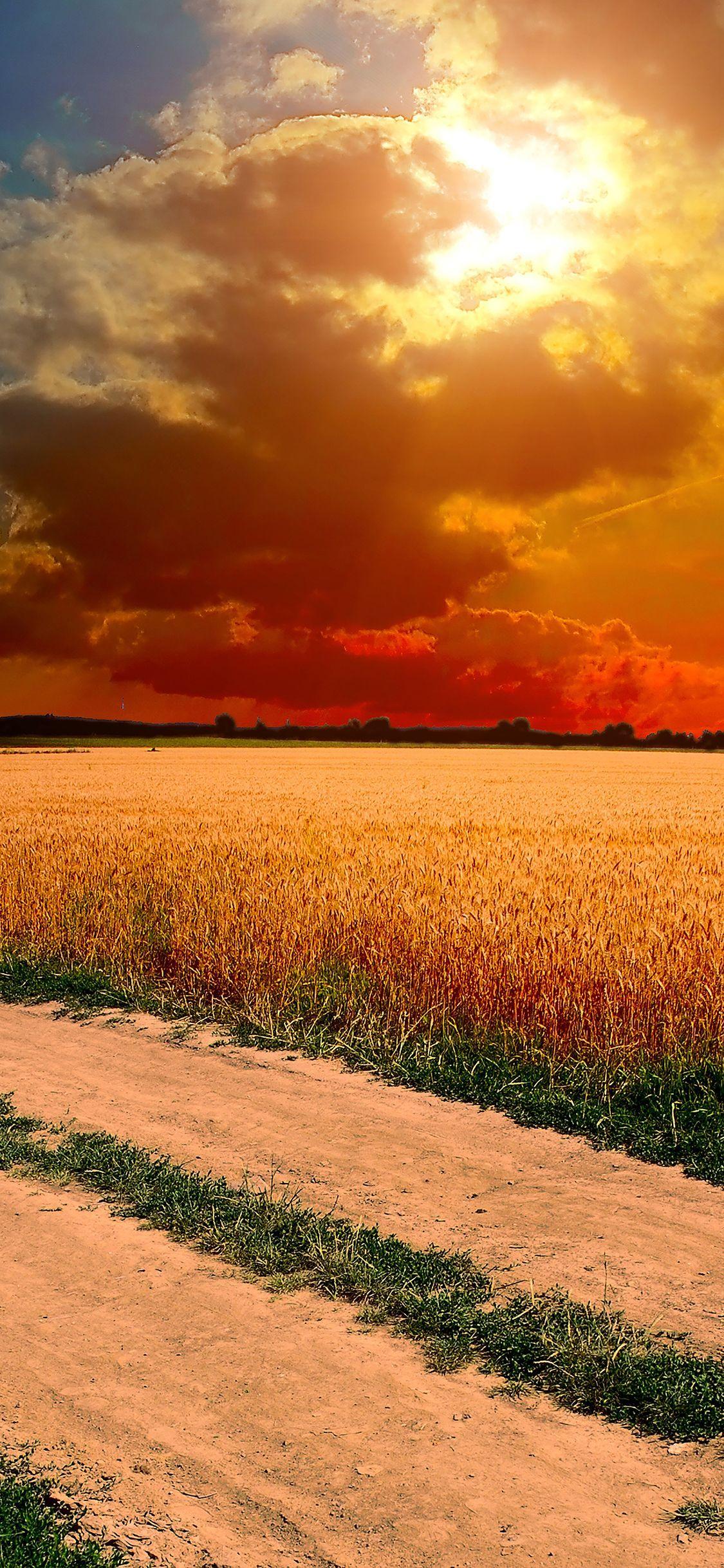1125x2436 iPhoneX wallpaper: hot sunny day nature farm. Clouds wallpaper iphone, Phone wallpaper, Landscape