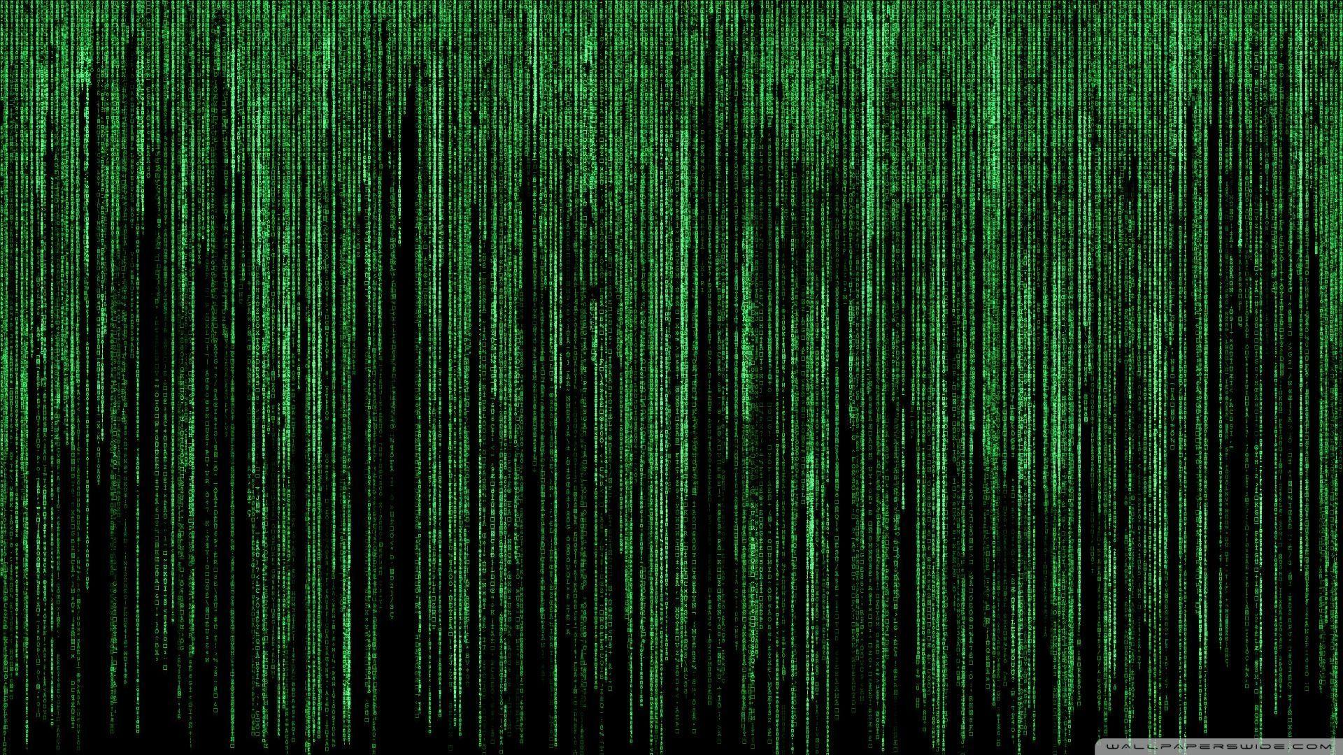 Matrix Pc Wallpapers Top Free Matrix Pc Backgrounds Wallpaperaccess