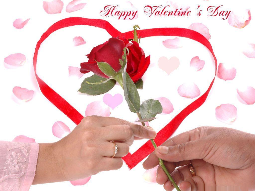 Funny Valentine Day Wallpapers Top Free Funny Valentine Day