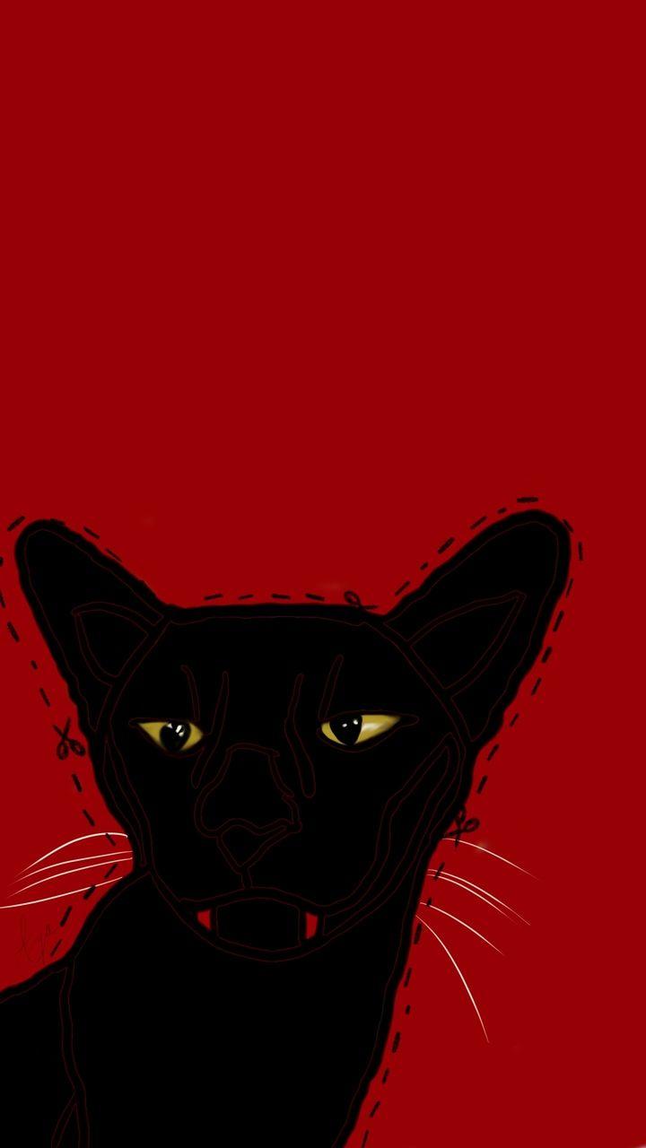 Mèo 720x1280, grunge, đỏ và ma cà rồng - hình ảnh