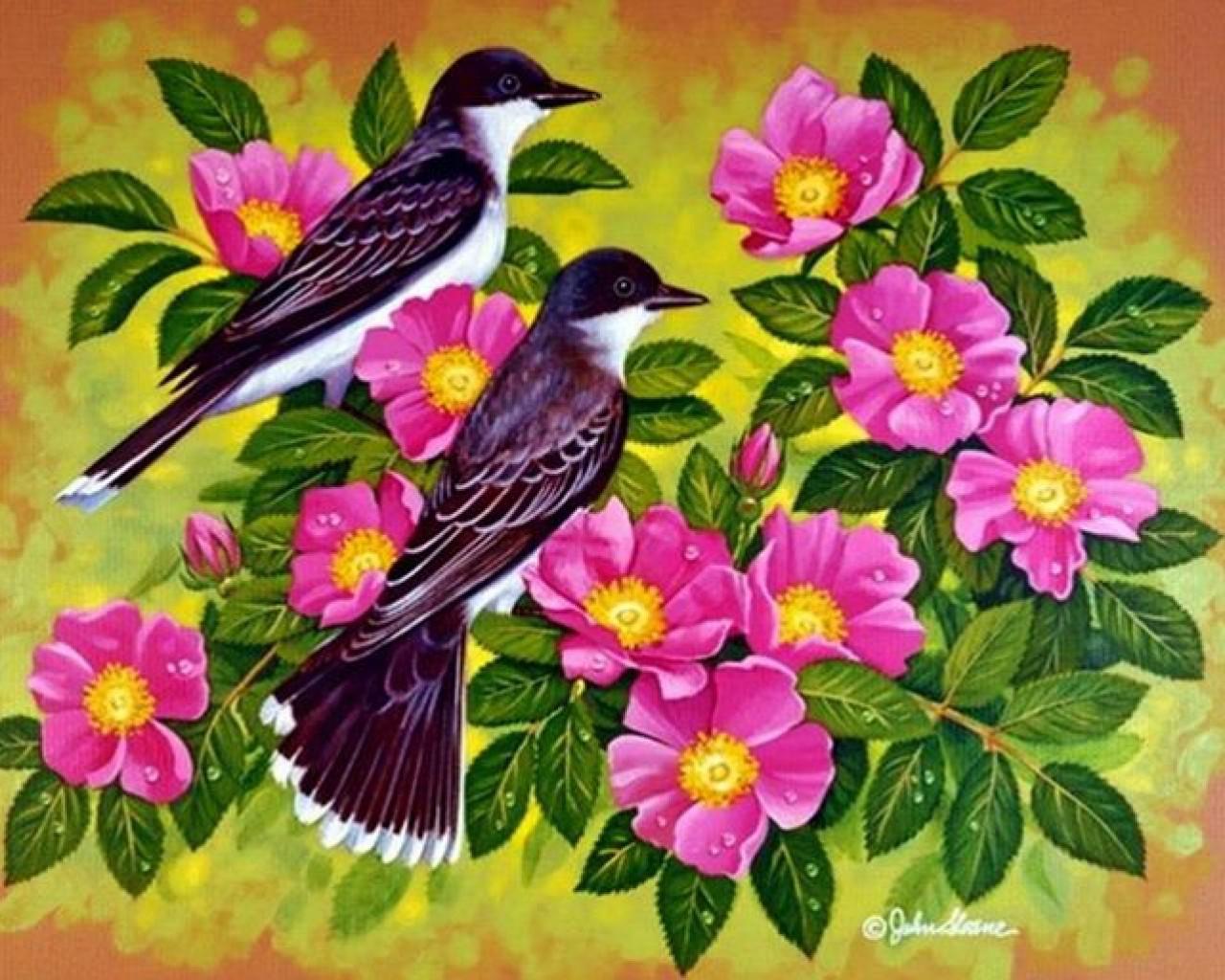 1280x1024 hình nền hoa hồng và chim
