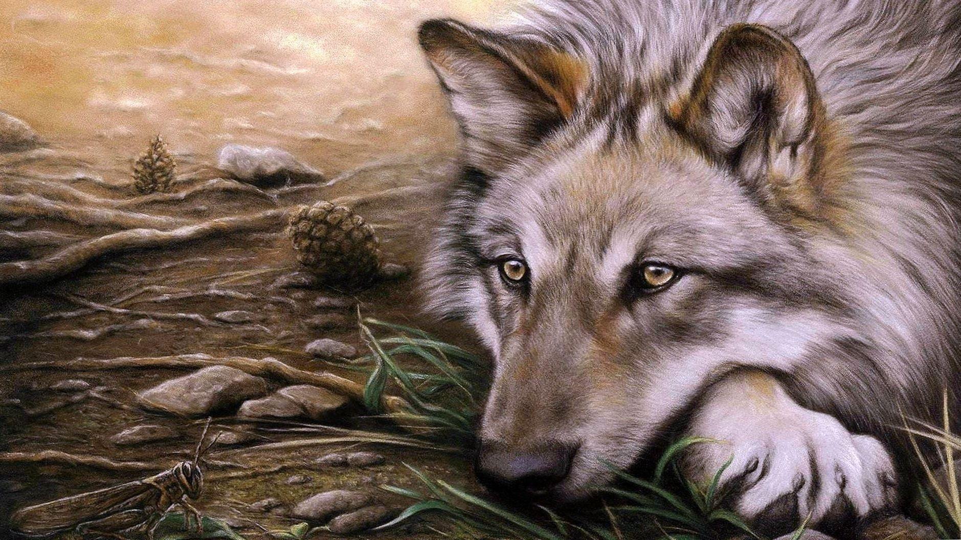 1879x1056 Wolf Wallpaper Drawing Wallpaper.Pro