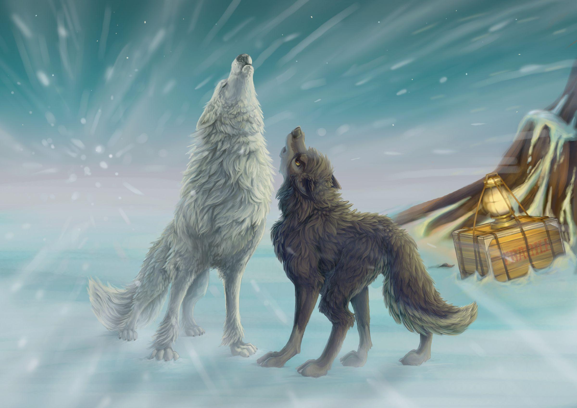 2400x1696 Wolf Howl Drawing wallpaperx1696