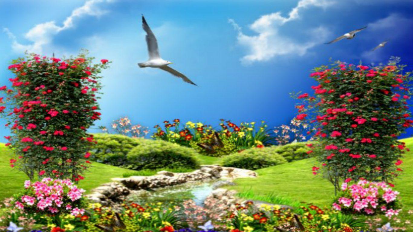 1366x768 Wallpaper With Flowers And Birds Hy44i81 Flowers With Birds Wallpaper & Background Download