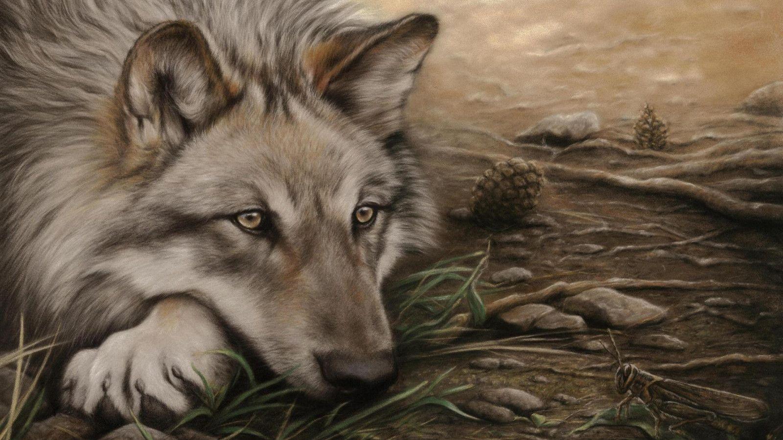 1600x900 Wolf Drawing HD desktop wallpaper : Widescreen : High Definition
