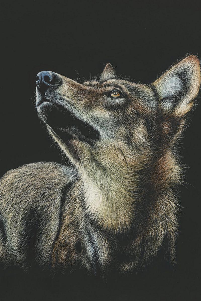 800x1200 Download Wallpaper 800x1200 Wolf, Art, Drawing, Dark, Glance Iphone 4s 4 For Parallax HD Background
