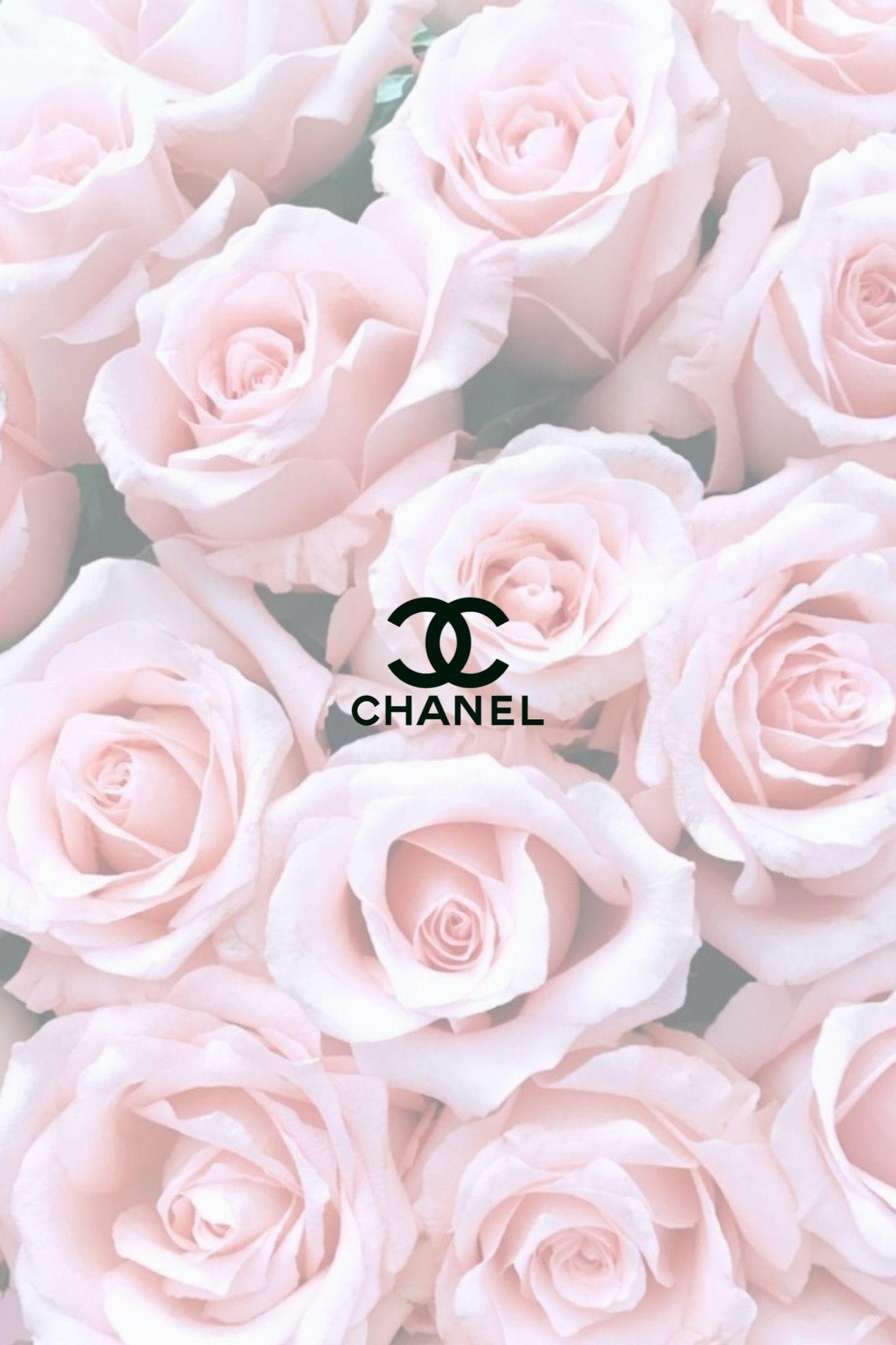 Chanel Roses Wallpapers Top Free Chanel Roses Backgrounds Wallpaperaccess