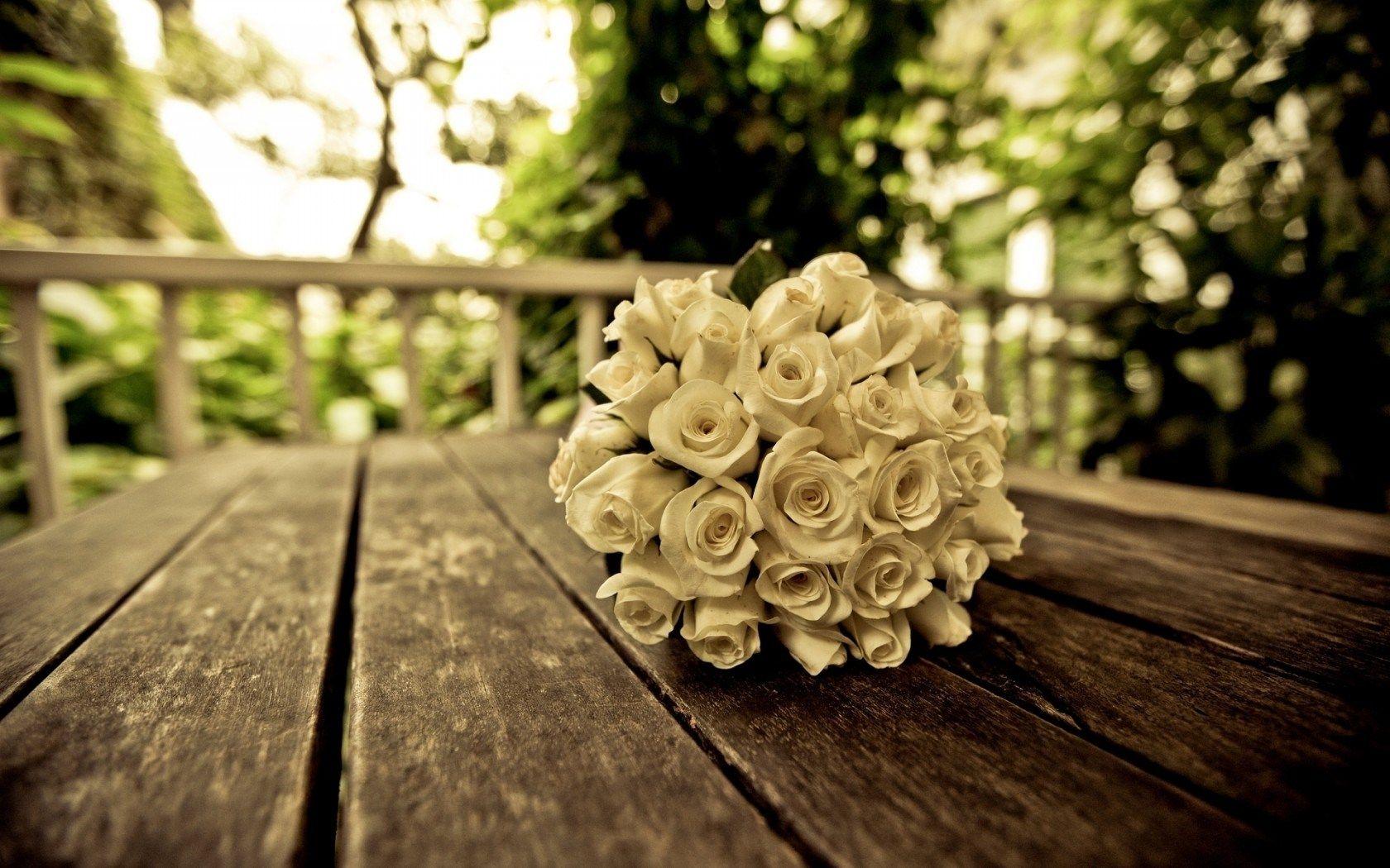 1680x1050 love roses wallpaper Desktop Wallpaperk HD