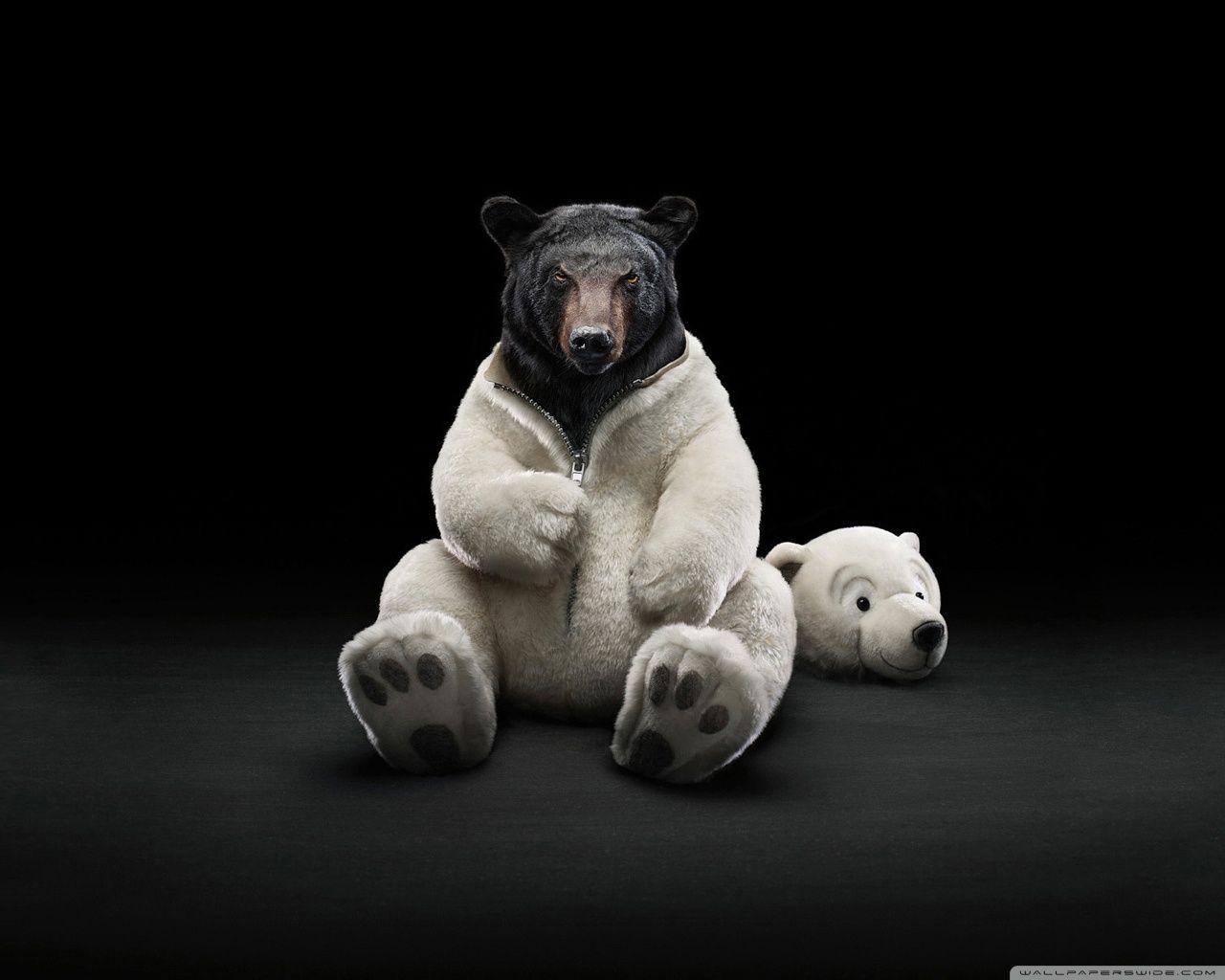 1280x1024 Bear Ultra HD Desktop Background Wallpaper for 4K UHD TV : Widescreen & UltraWide Desktop & Laptop : Tablet