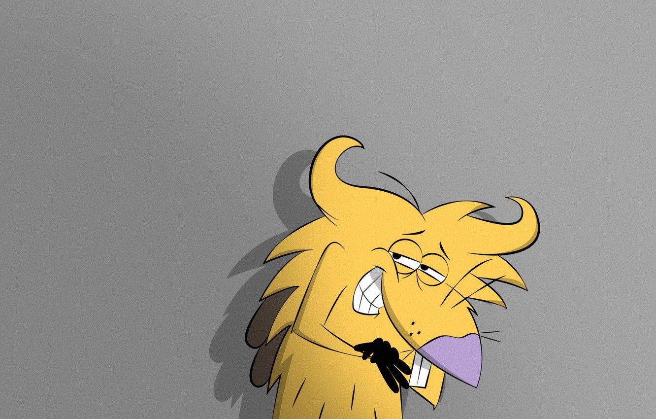 1332x850 Wallpaper beaver, The Angry Beavers, Norbert image for desktop, section фильмы