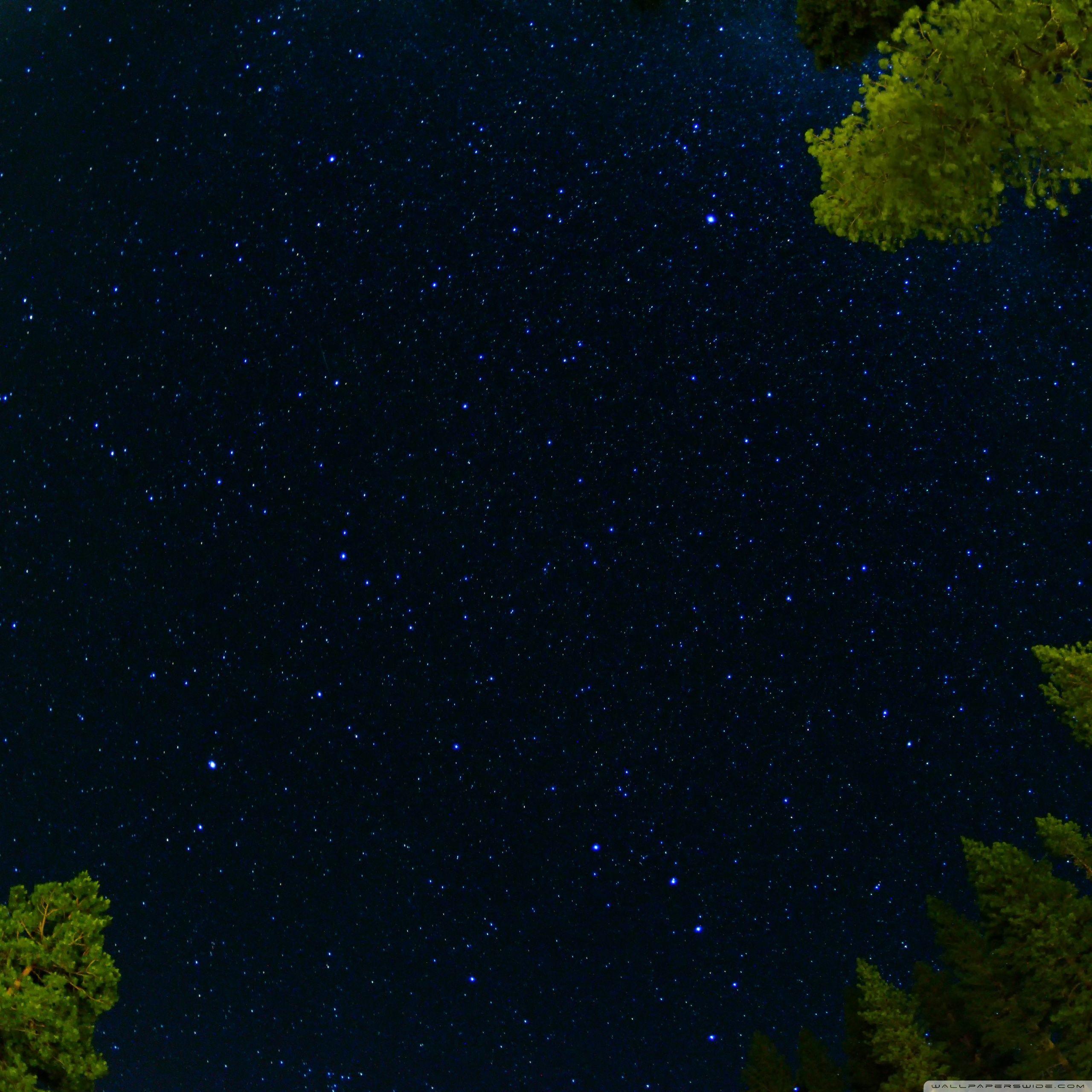 2560x2560 Towards the Sky ❤ 4K HD Desktop Wallpaper for 4K Ultra HD TV • Wide