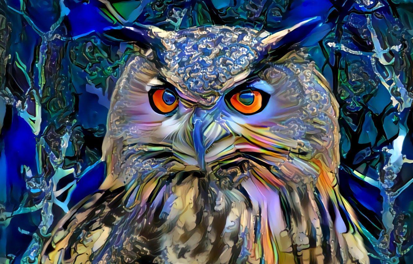 1332x850 Wallpaper owl, paint, art image for desktop, section рендеринг
