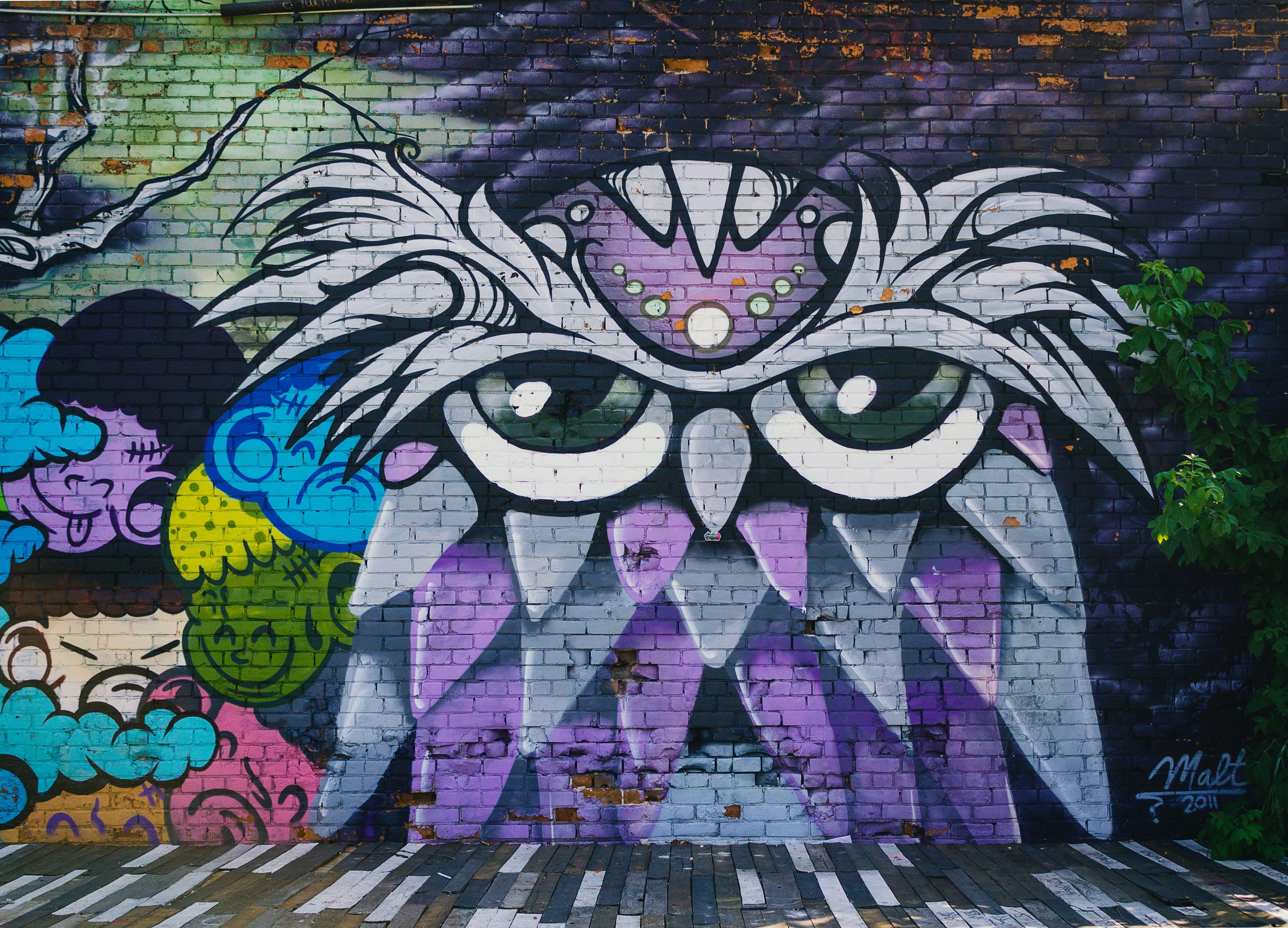 4775x3442 owl wall mural photo