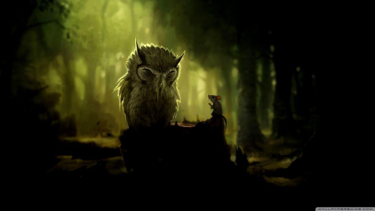 1229x691 White Wise Owl Wallpaper. All HD Wallpaper Gallery