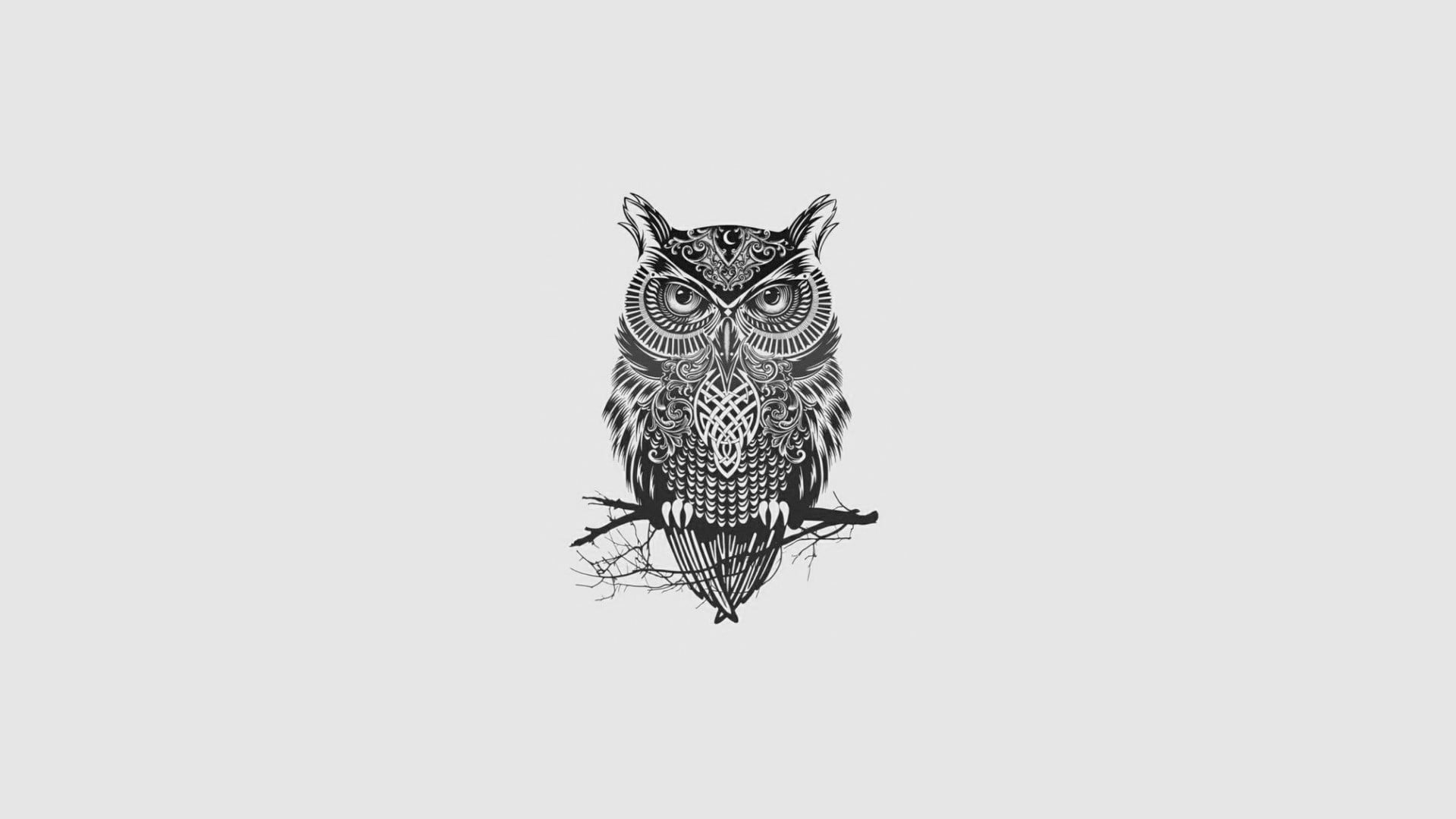1920x1080 Black And White Owl Painting HD Wallpaper Horned Owl Wallpaper & Background Download