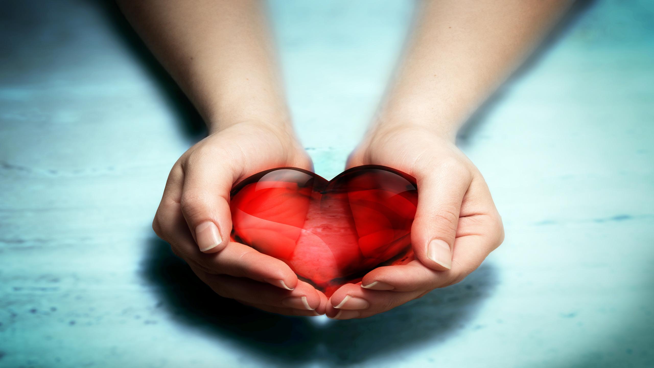 2560x1440 International Day Of Charity HD Wallpaper. Free Computer Desktop Wallpaper