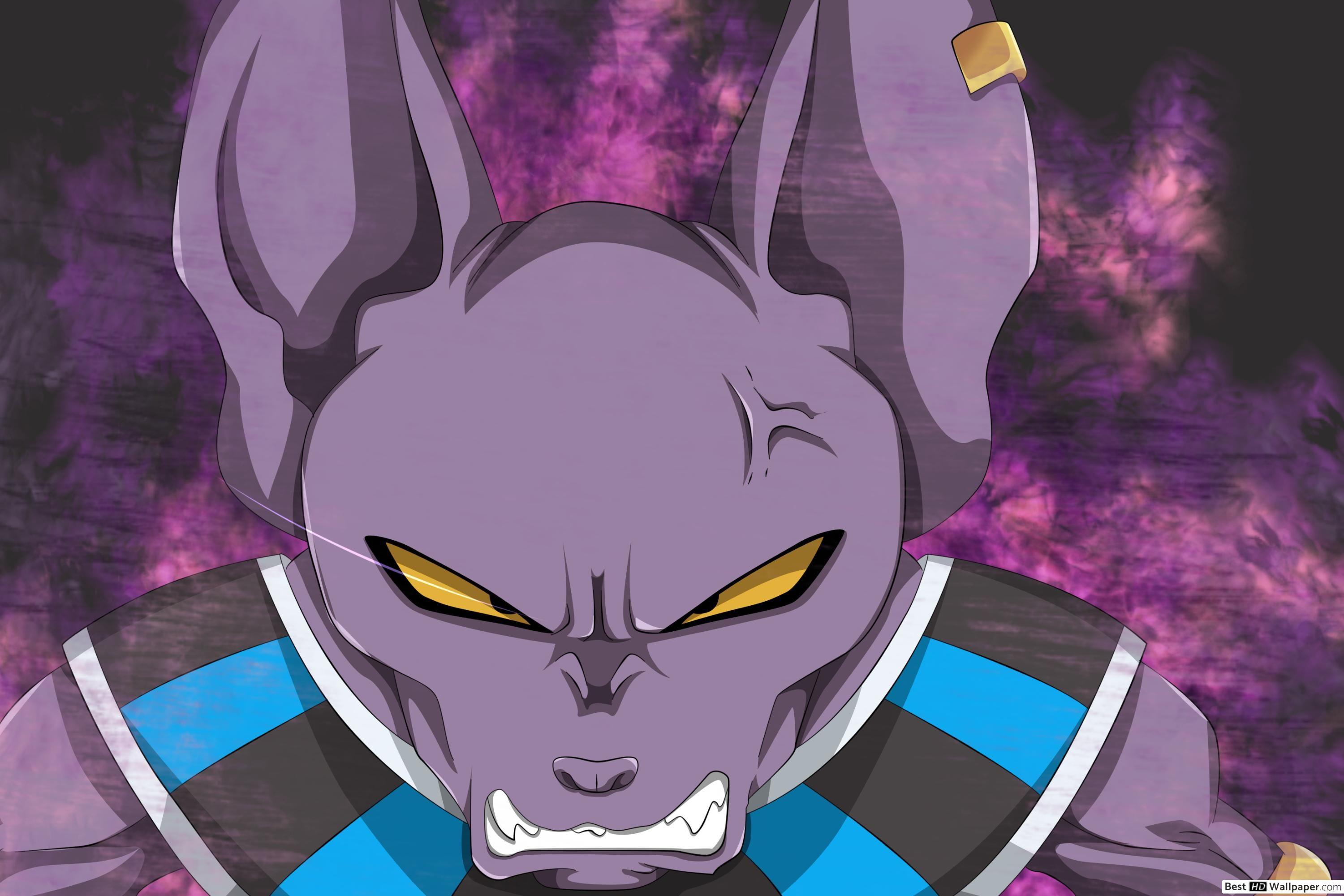 Dragon Ball 1080x1080 Beerus