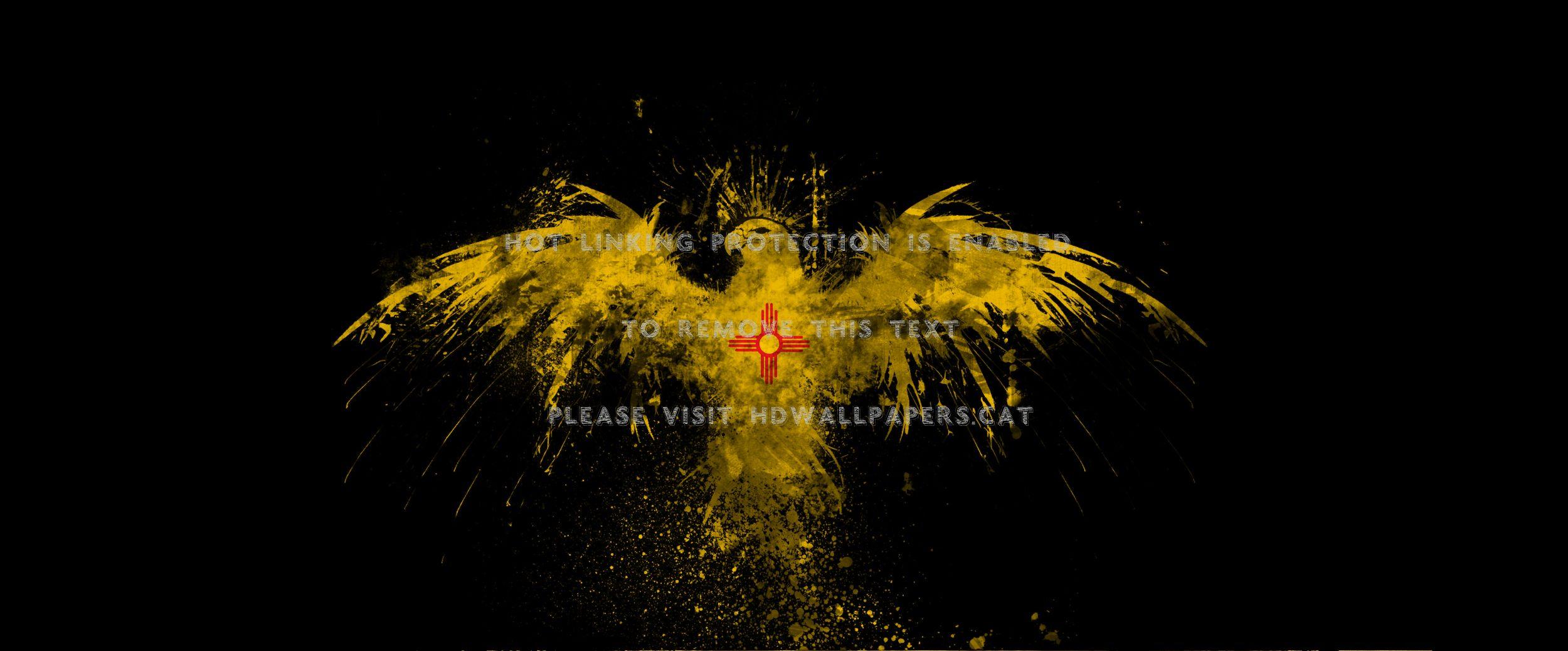 2500x1038 new mexico eagle abstract