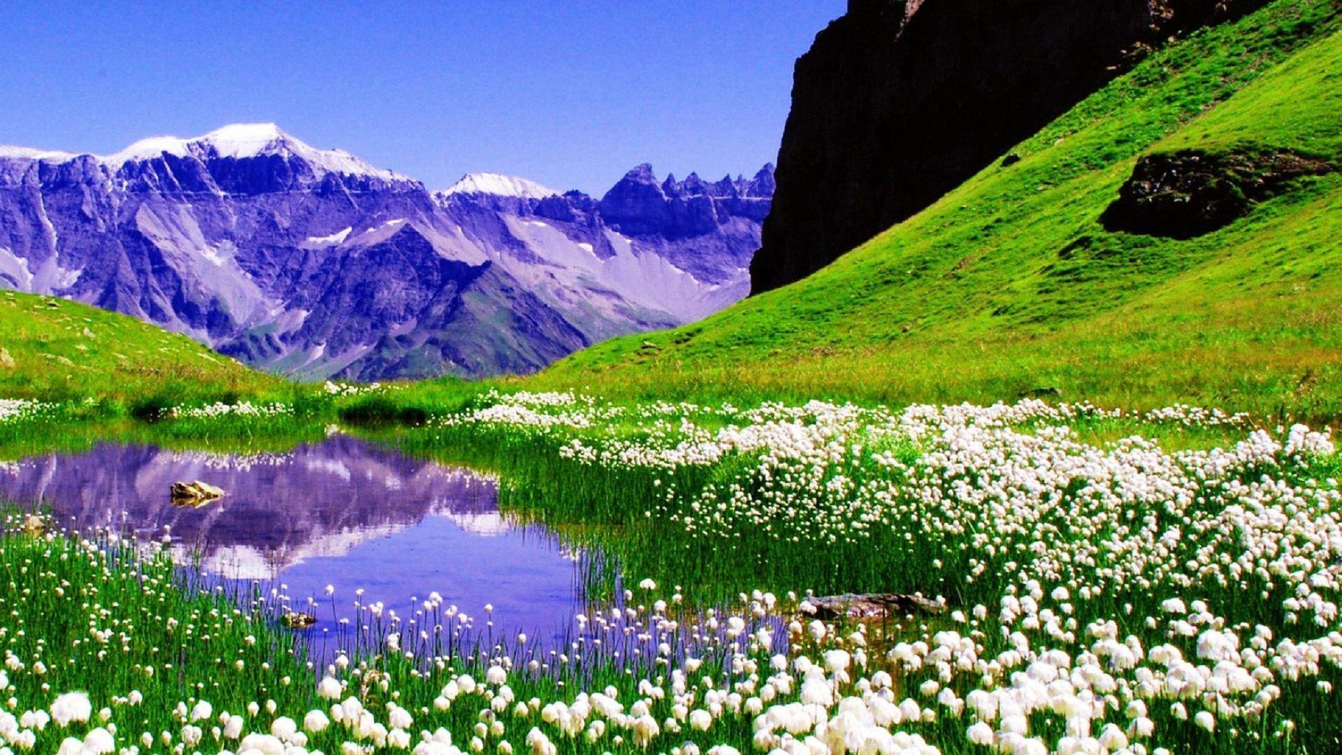 1920x1080 Spring Nature Wallpaper