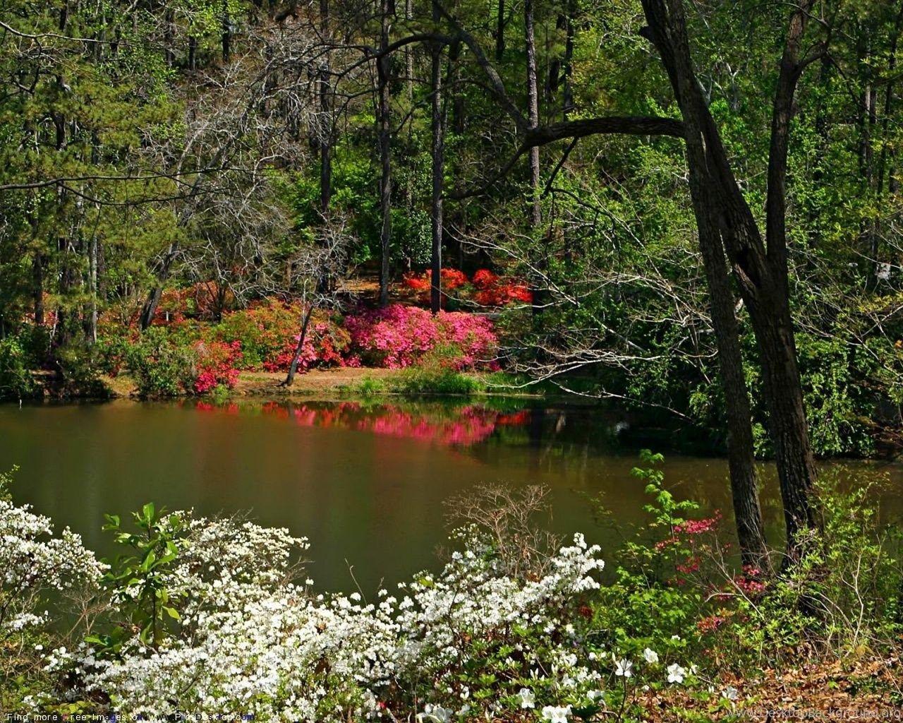 1280x1024 Nature Springtime Free Desktop Wallpaper For PC & Mac Desktop Background