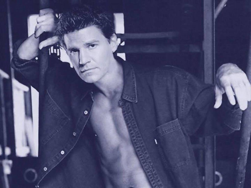 1024x768 David Boreanaz Wallpaper
