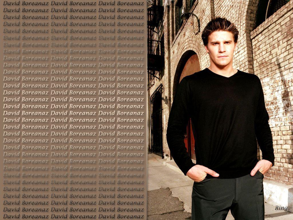 1024x768 David Boreanaz Wallpaper: David. David boreanaz, David boreanaz angel, David