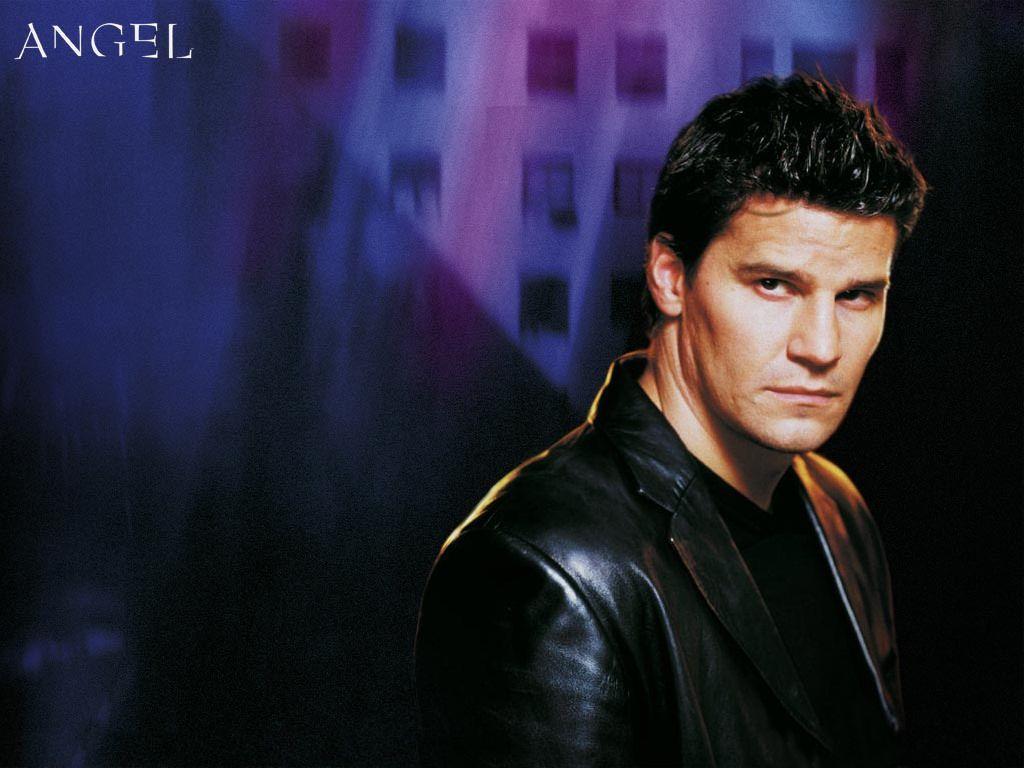 1024x768 Angel David Boreanaz Dvdbash (1)