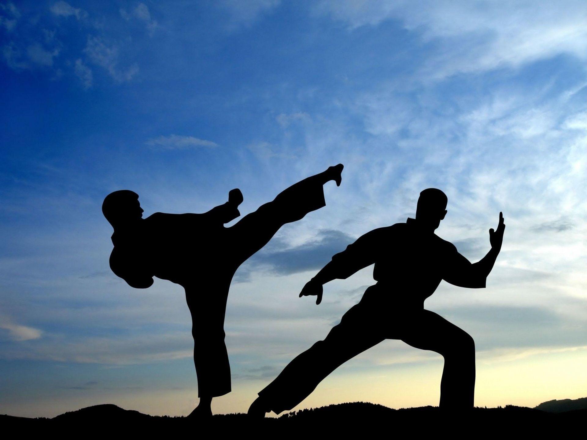 1920x1440 Martial Arts Wallpaper
