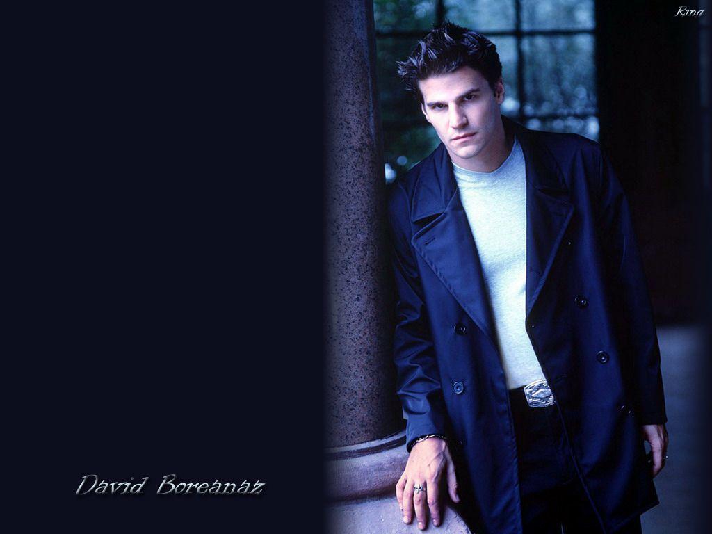 1024x768 David Boreanaz Wallpaper. David boreanaz, David, Navy blue coat