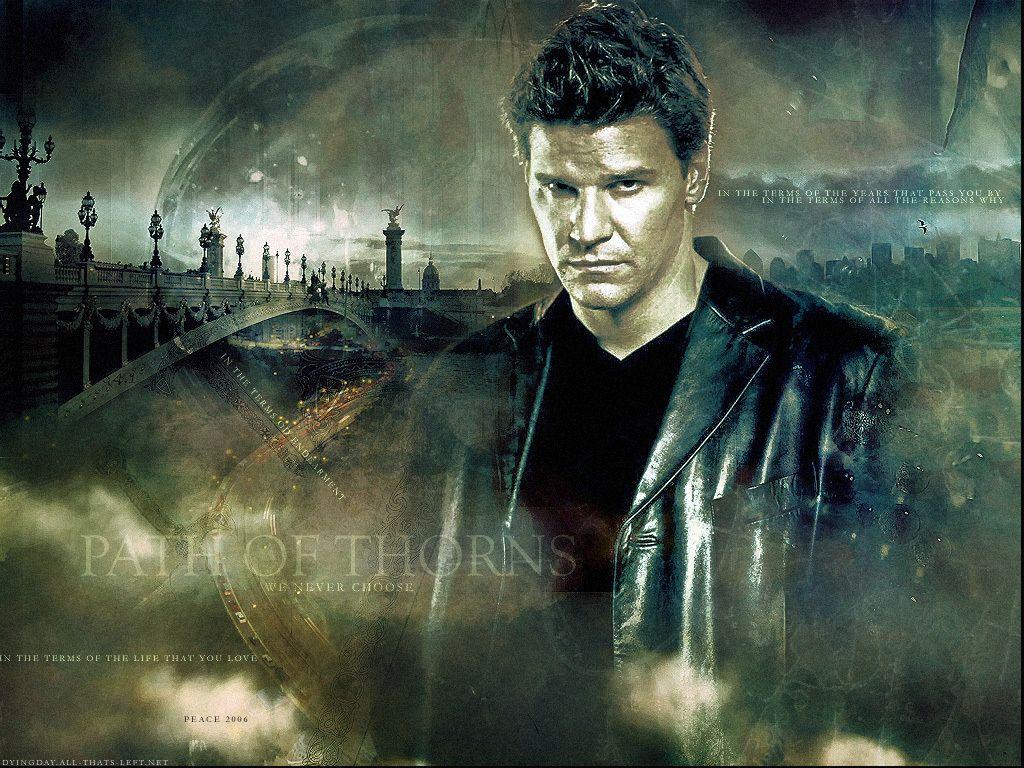 1024x768 Angel Boreanaz Wallpaper Angel Wallpaper & Background Download
