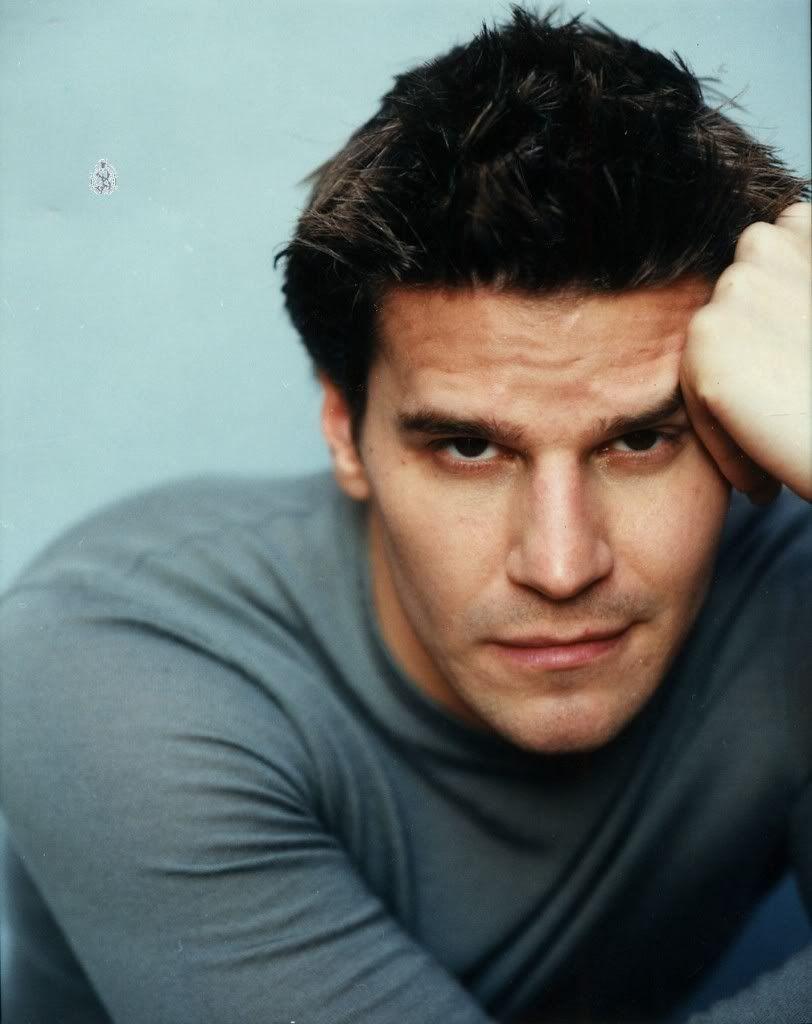812x1024 Wallpaper for David Boreanaz → Resolution 812x1024px