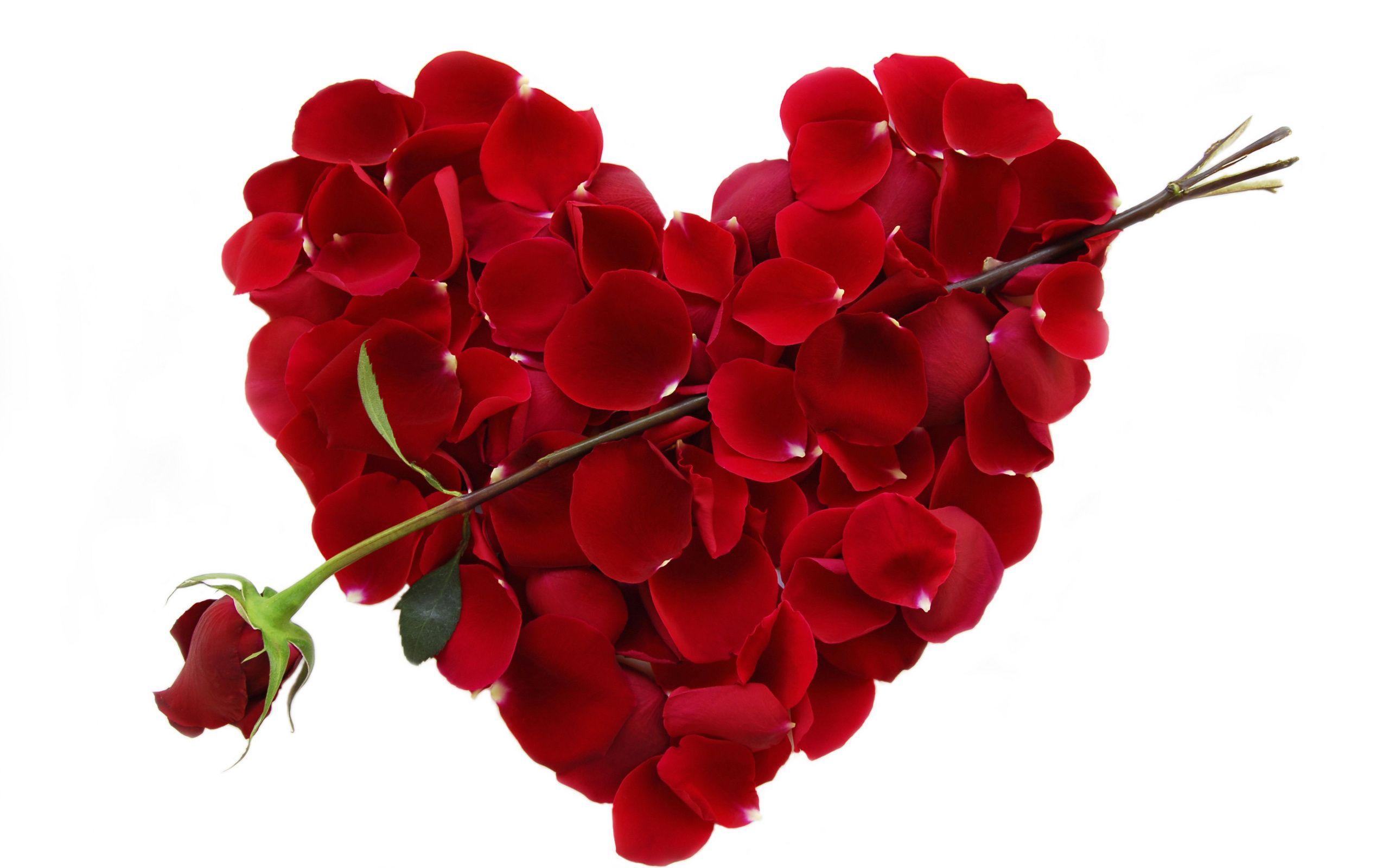 Hearts Flowers Wallpapers - Top Free ...