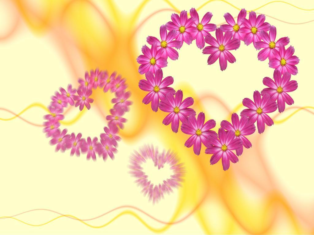 1024x768 Free download Hearts Flowers HD Wallpaper 1024x768 Flower Wallpaper 1024x768 [1024x768] for your Desktop, Mobile & Tablet. Explore Hearts And Flowers Wallpaper. Bleeding Heart Wallpaper, Valentine Flowers Wallpaper