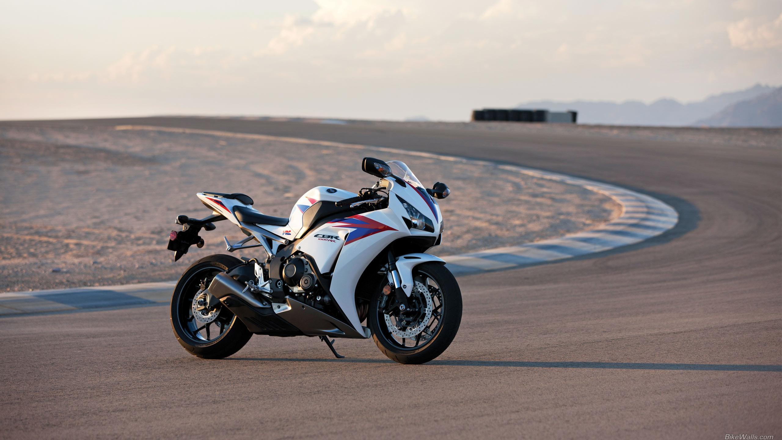 2560x1440 Motor Sport Image