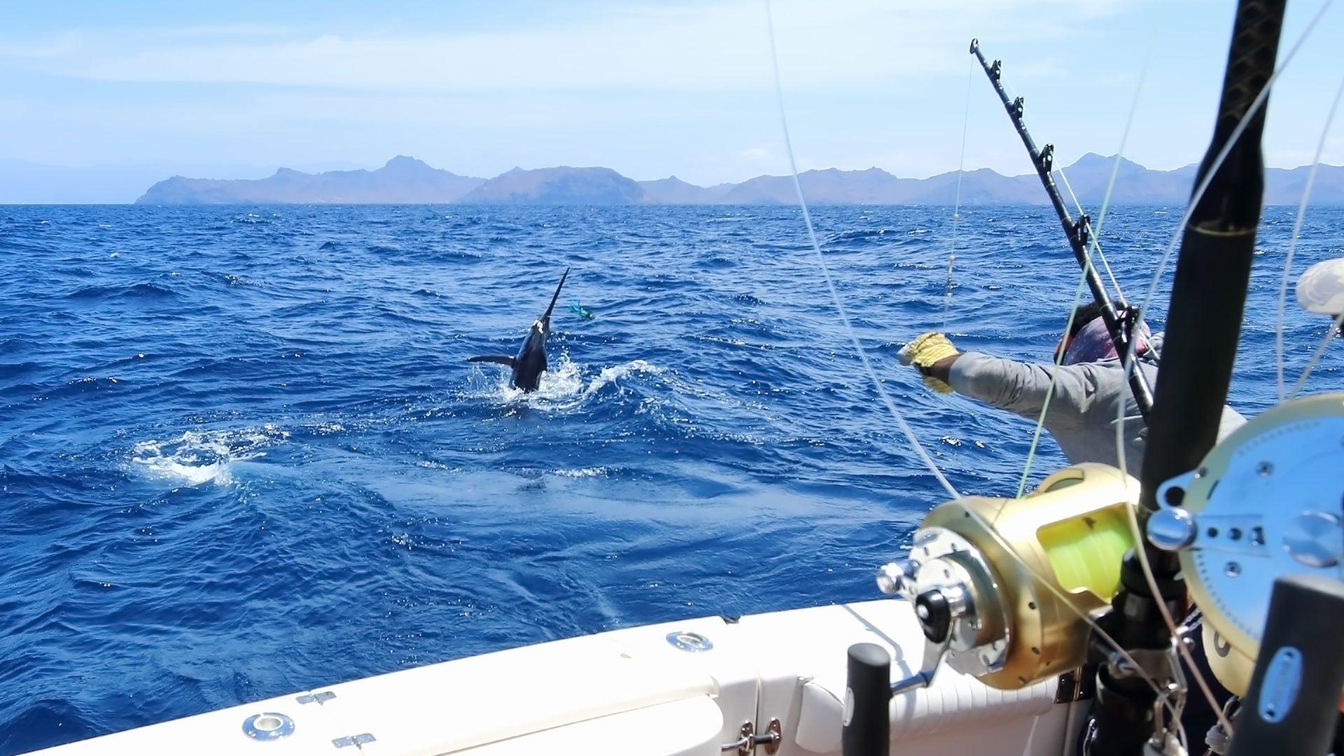 1920x1080 Offshore Fishing. Lawless Sportfishing Charters