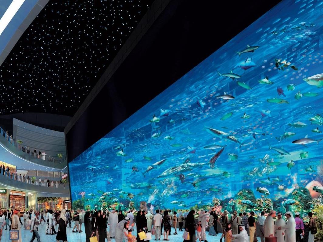 1064x798 Aquarium In Okinawa Japan