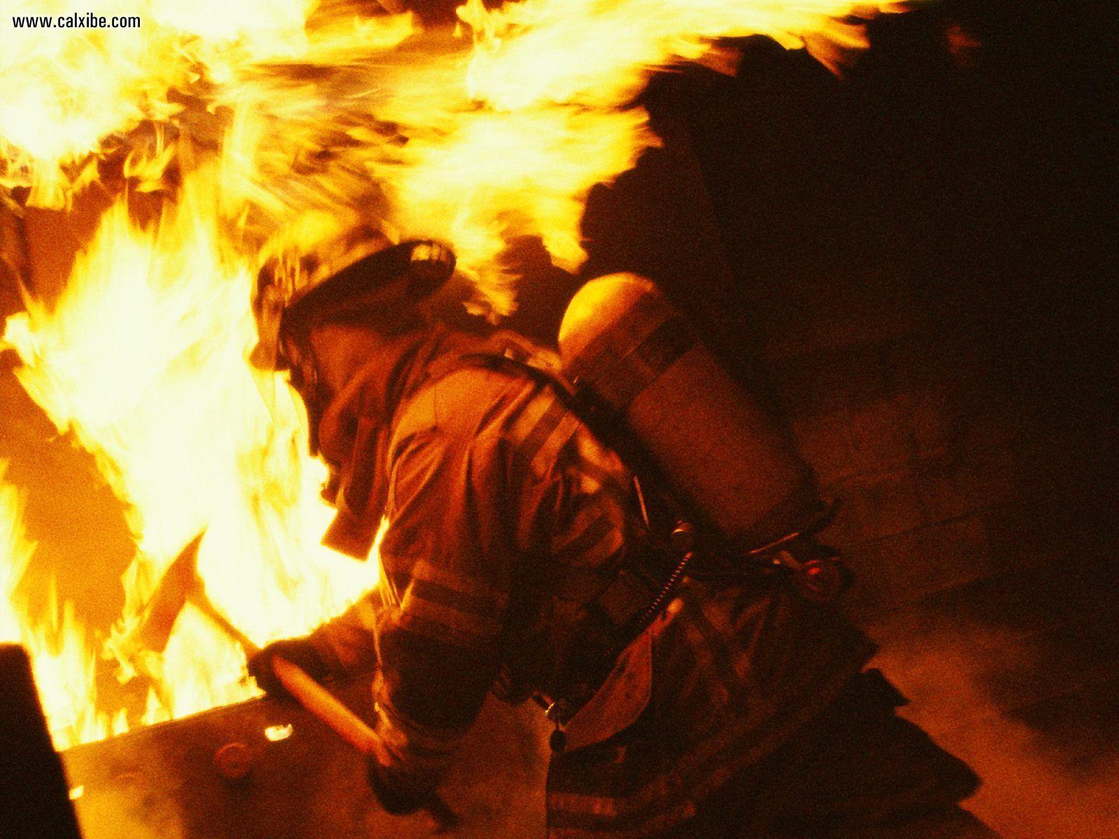 1600x1200 Fire Fighting Wallpaper. Alligators Fighting Wallpaper, Triceratops Fighting Wallpaper and Sakura Fighting HD Wallpaper